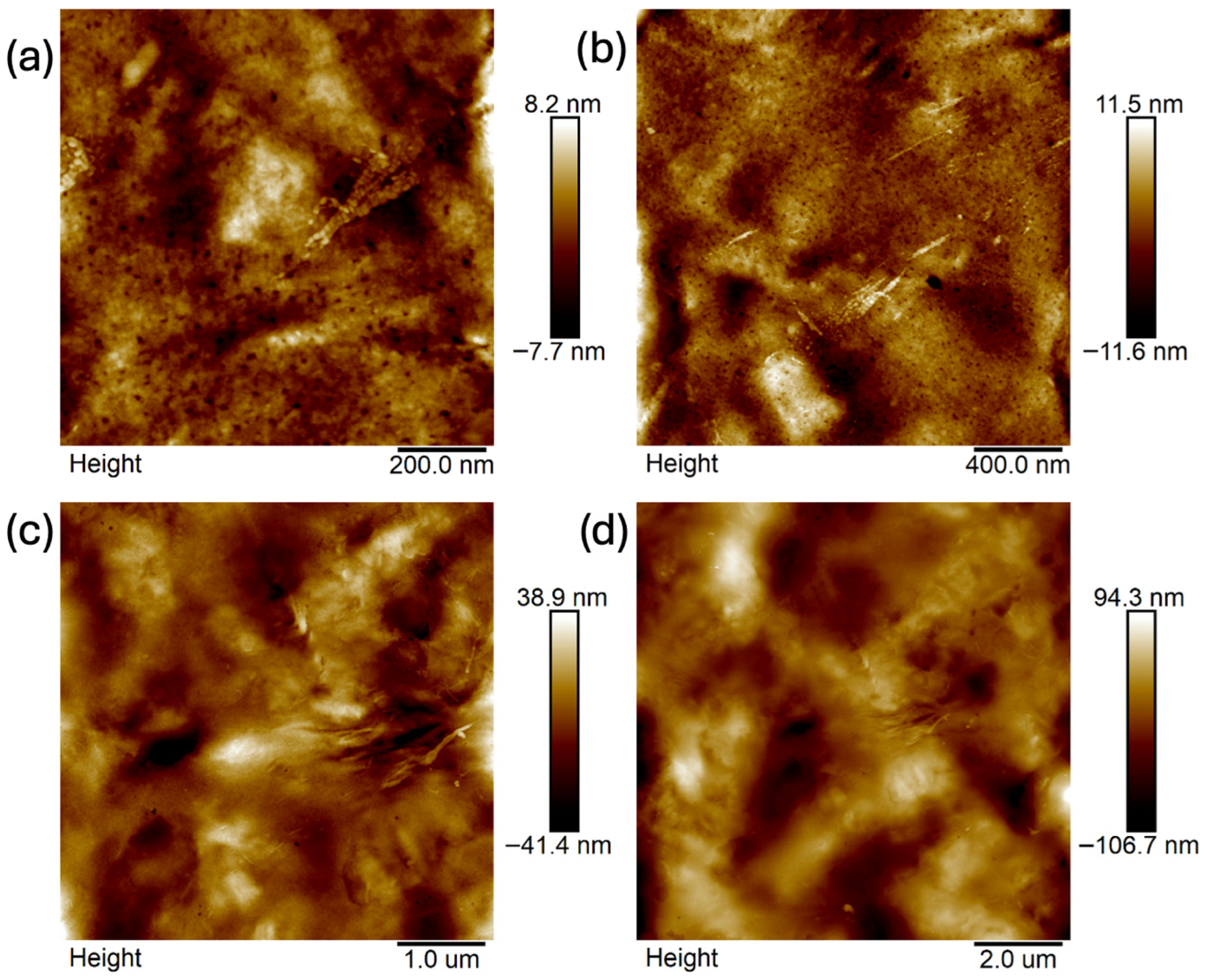 Ijms 26 11445 g011 Ijms 26 11445 g011