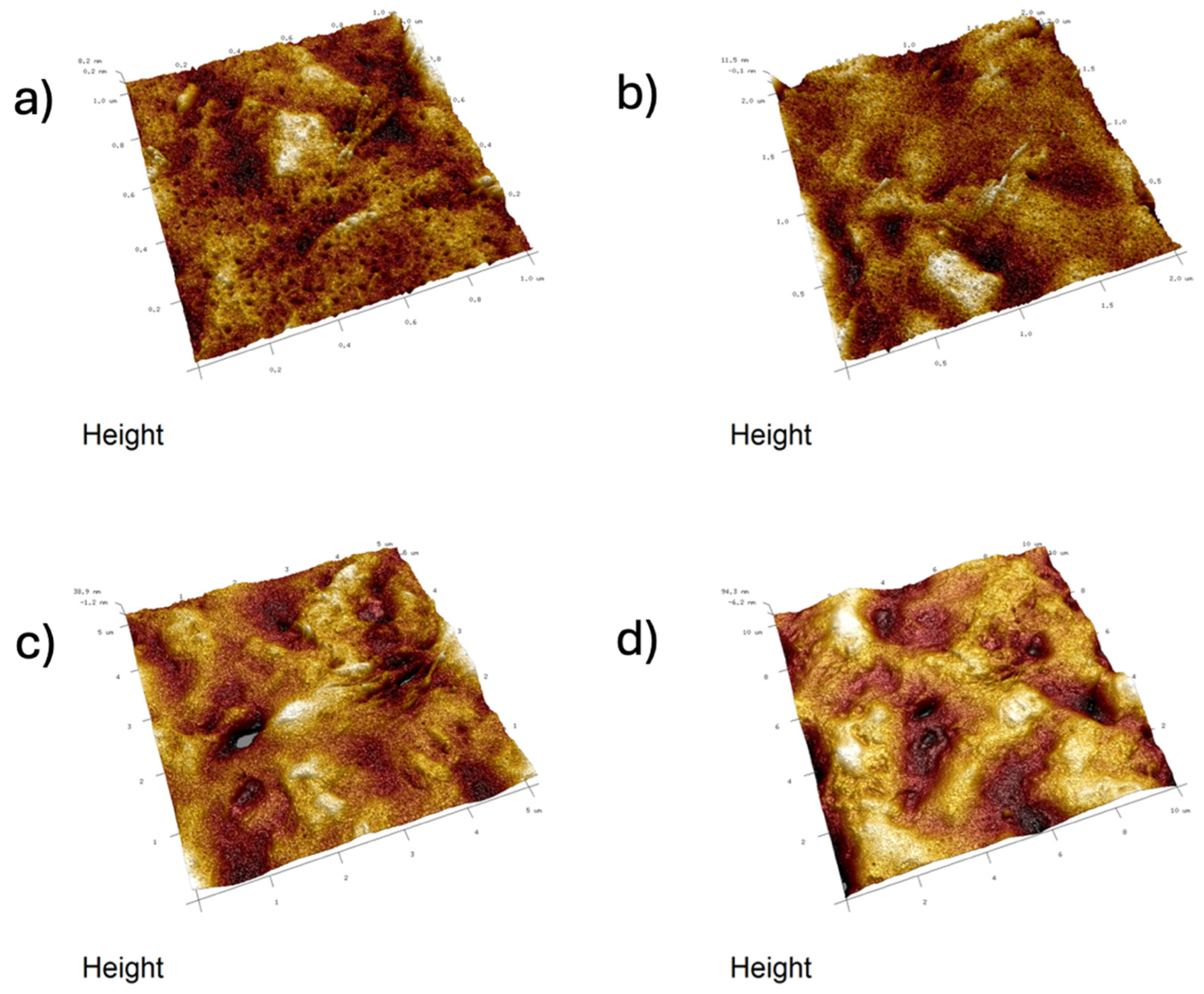 Ijms 26 11445 g012 Ijms 26 11445 g012