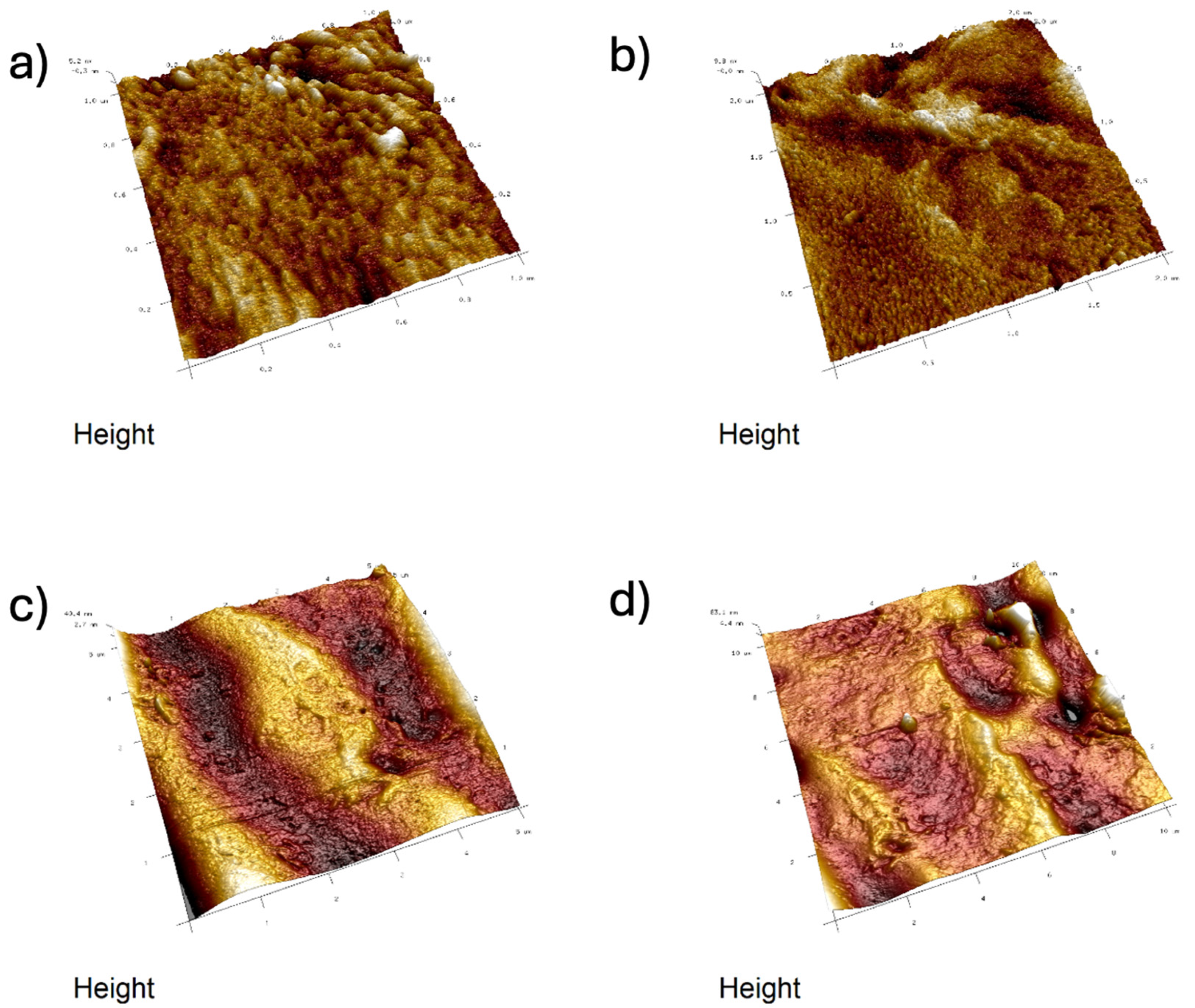 Ijms 26 11445 g015 Ijms 26 11445 g015