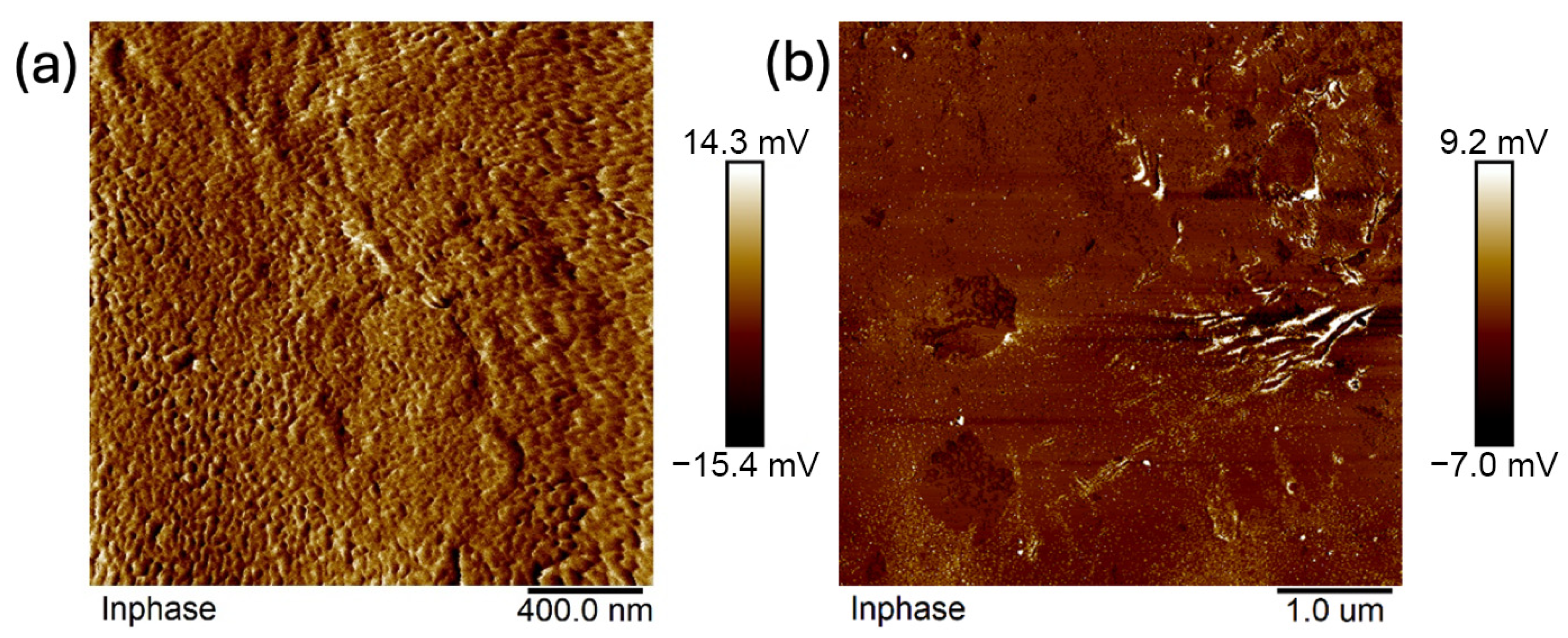 Ijms 26 11445 g016 Ijms 26 11445 g016