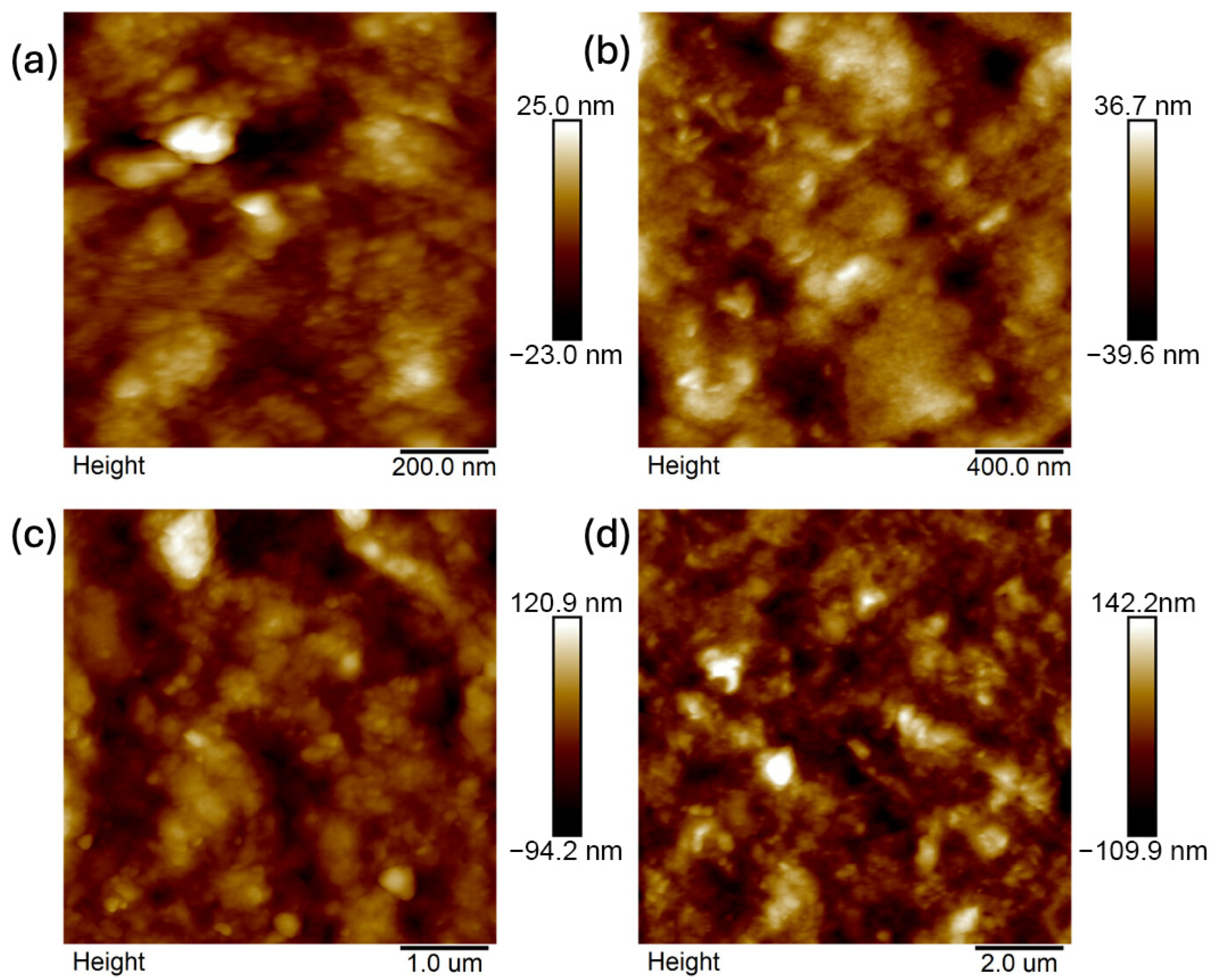 Ijms 26 11445 g017 Ijms 26 11445 g017