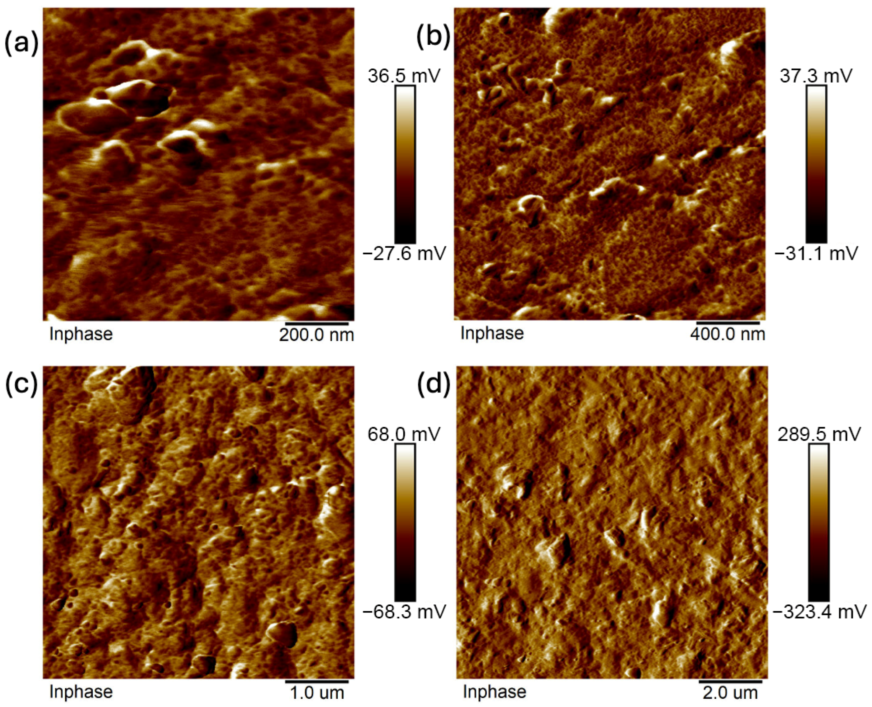 Ijms 26 11445 g019 Ijms 26 11445 g019