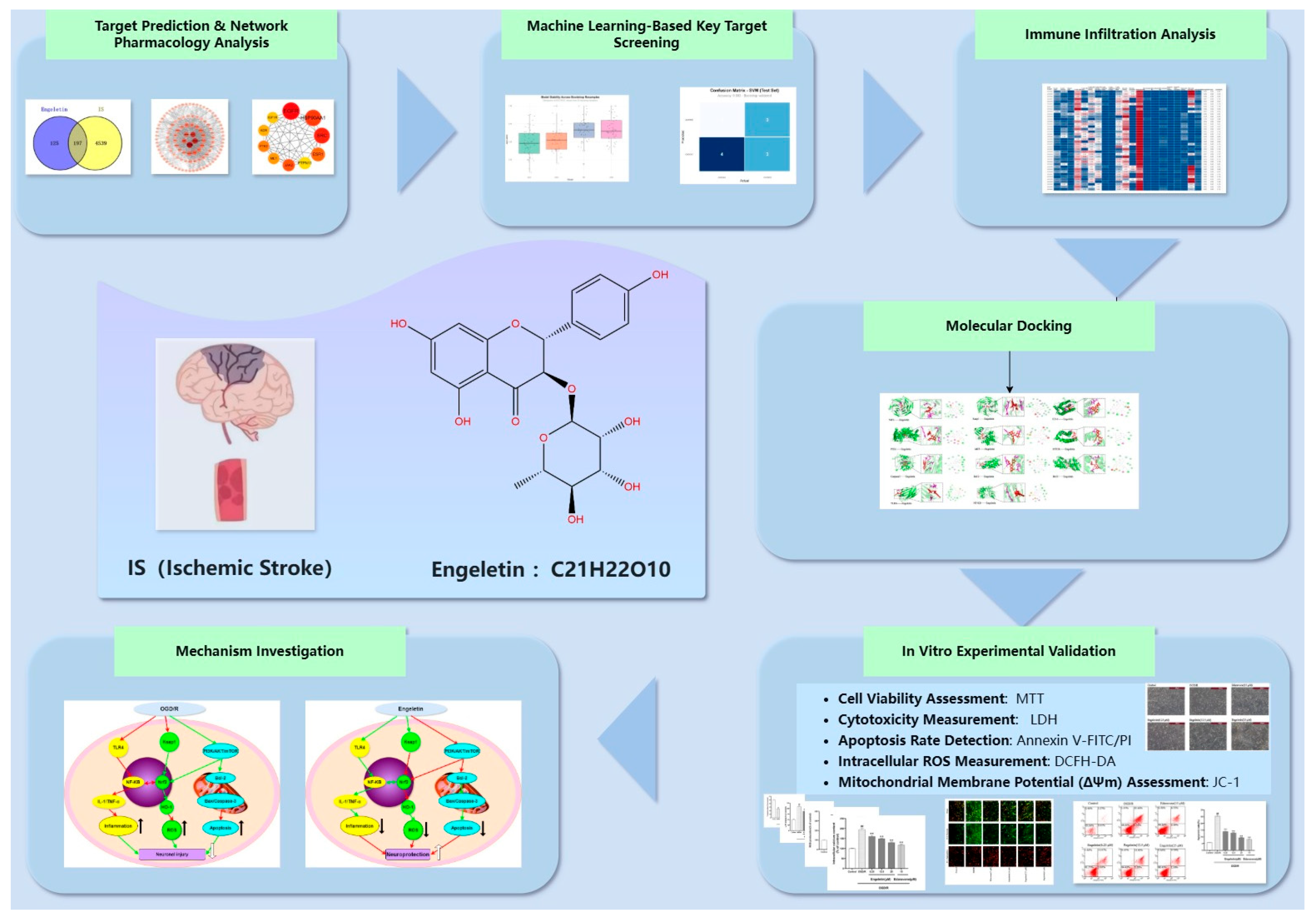 Ijms 26 11446 g001 Ijms 26 11446 g001