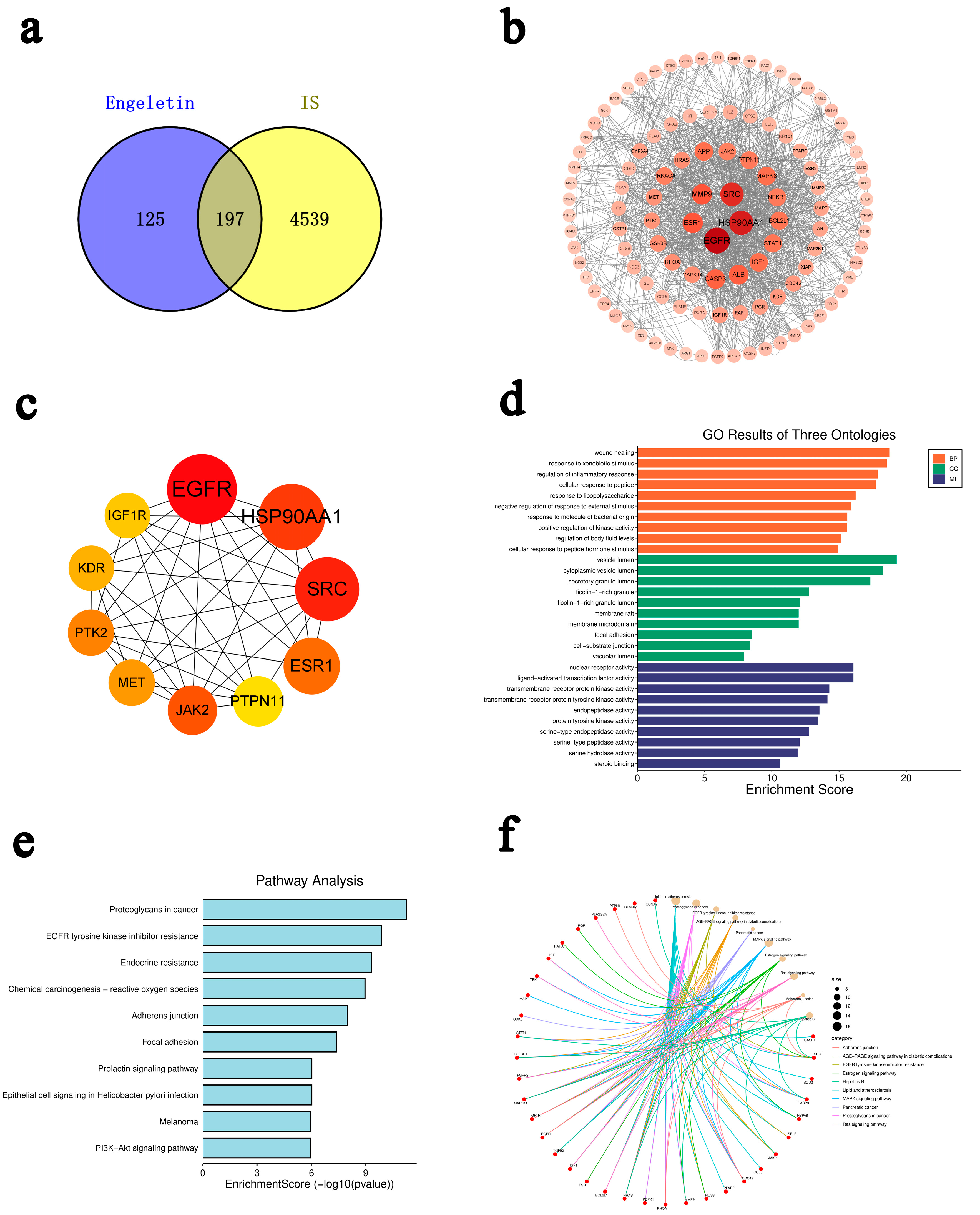 Ijms 26 11446 g002 Ijms 26 11446 g002