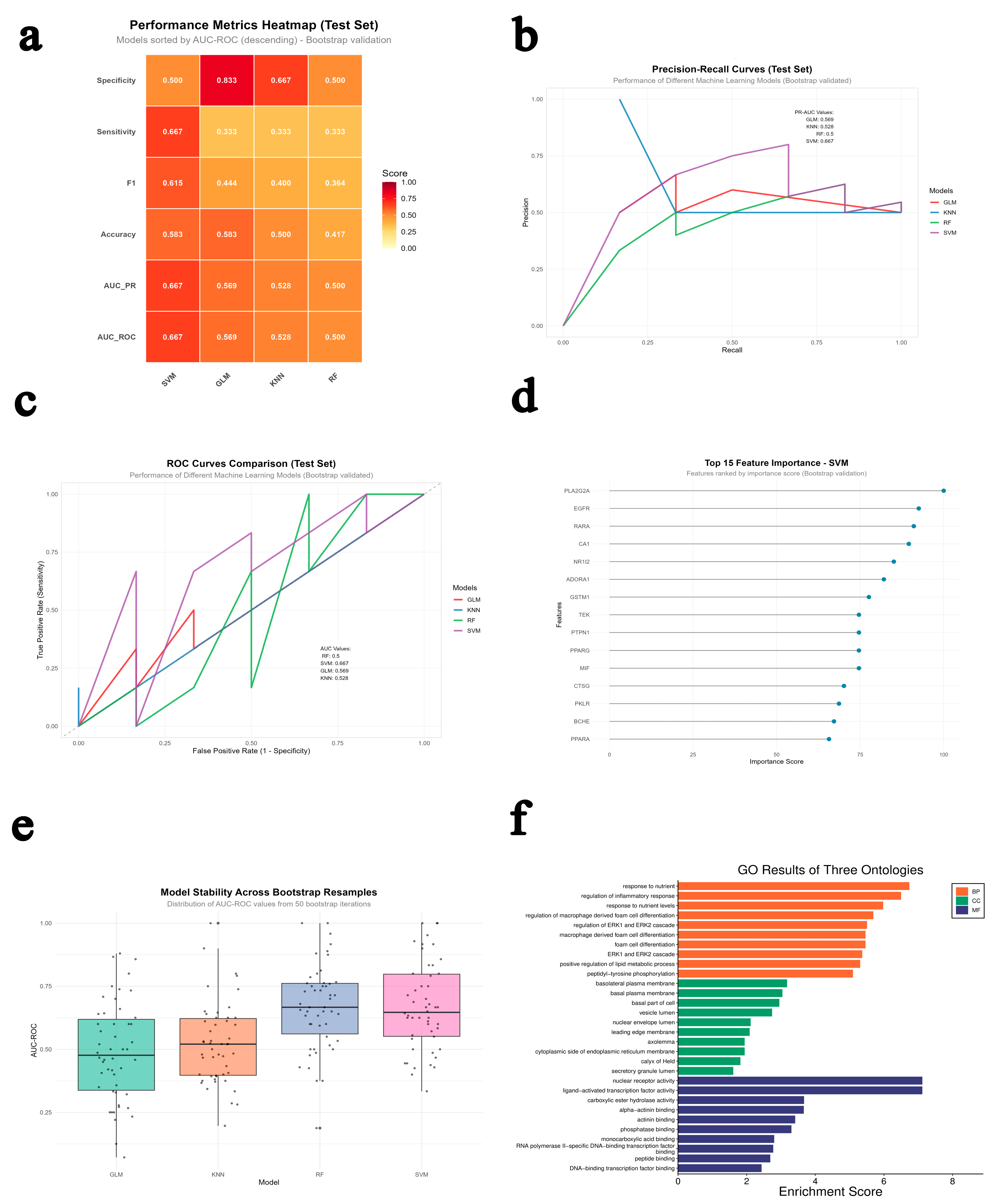 Ijms 26 11446 g003 Ijms 26 11446 g003