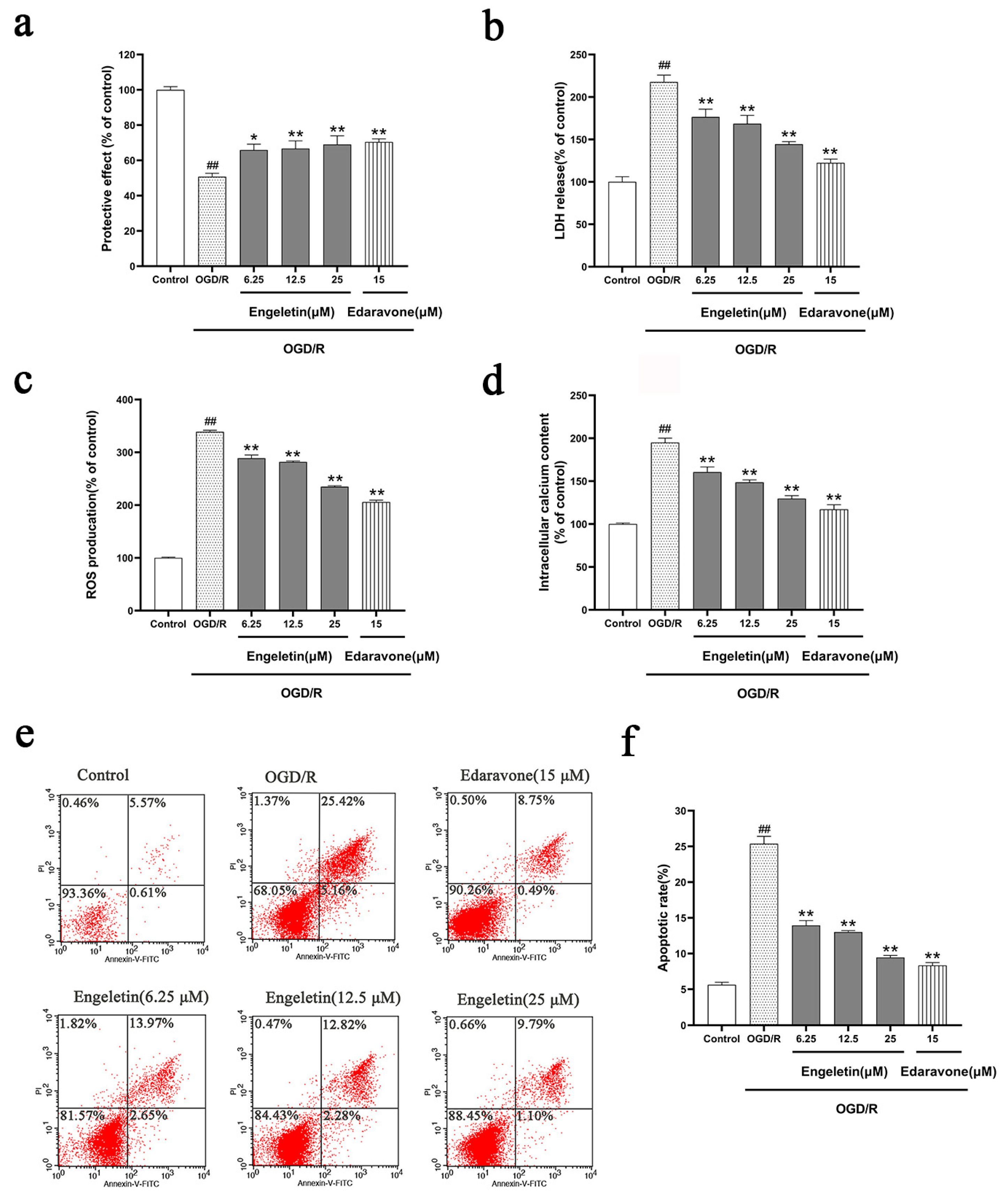 Ijms 26 11446 g008 Ijms 26 11446 g008