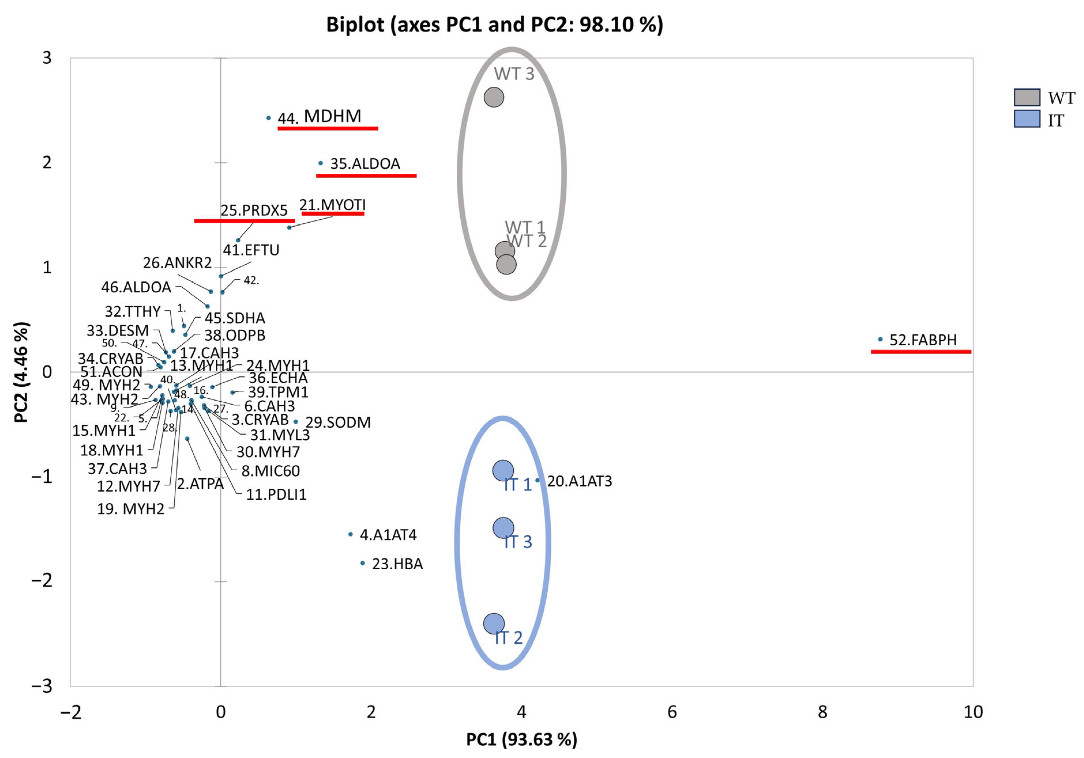 Ijms 26 11451 g002 Ijms 26 11451 g002