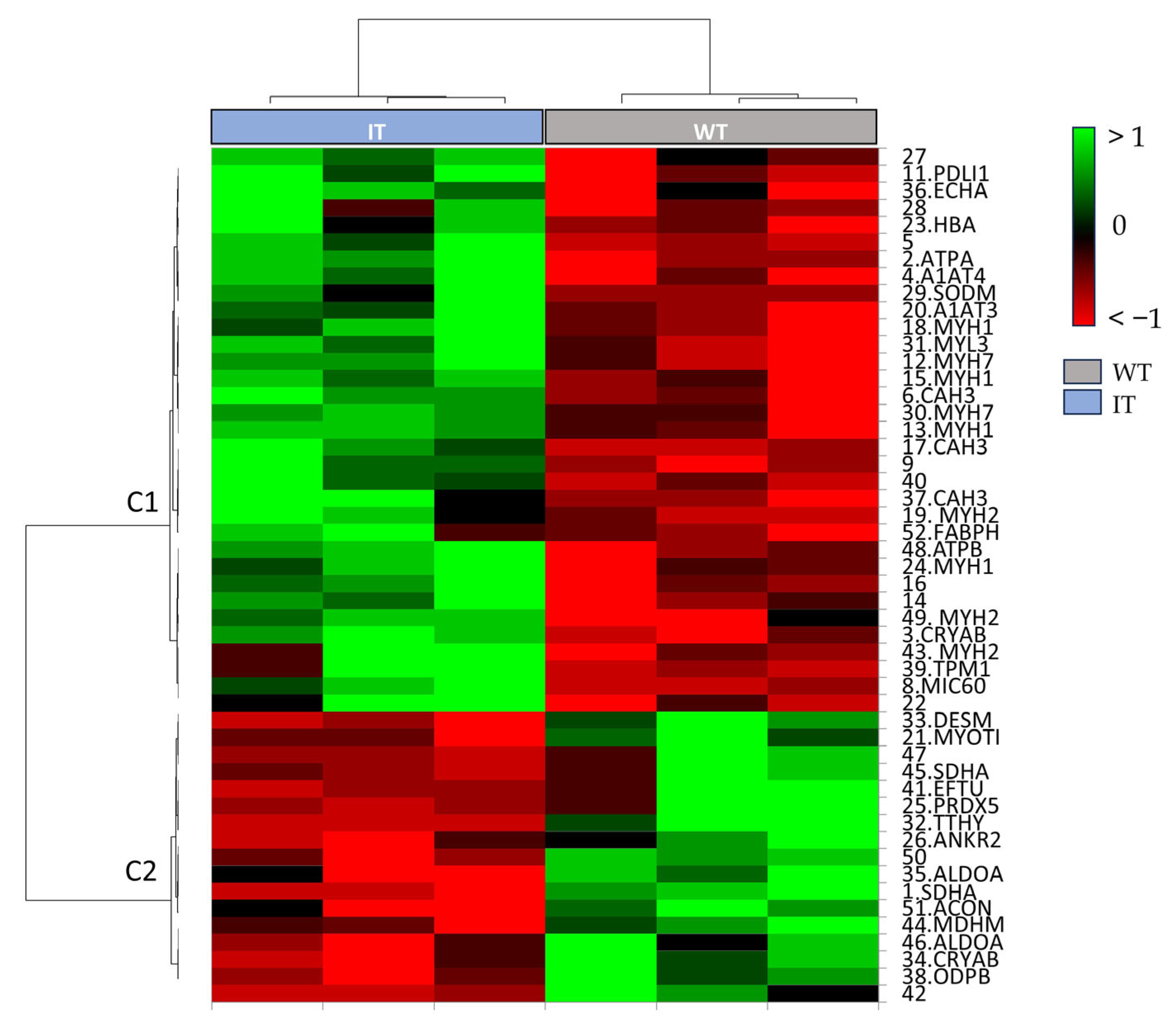Ijms 26 11451 g003 Ijms 26 11451 g003
