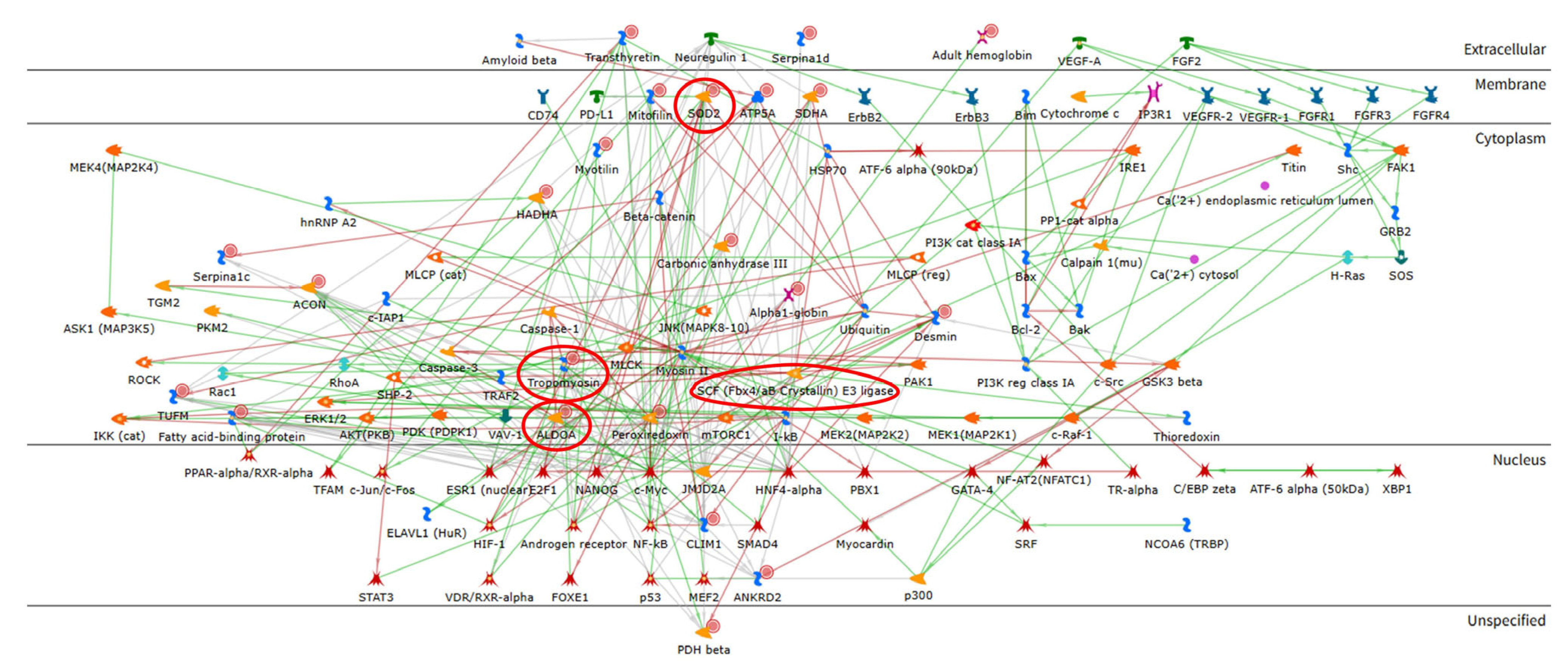 Ijms 26 11451 g004 Ijms 26 11451 g004