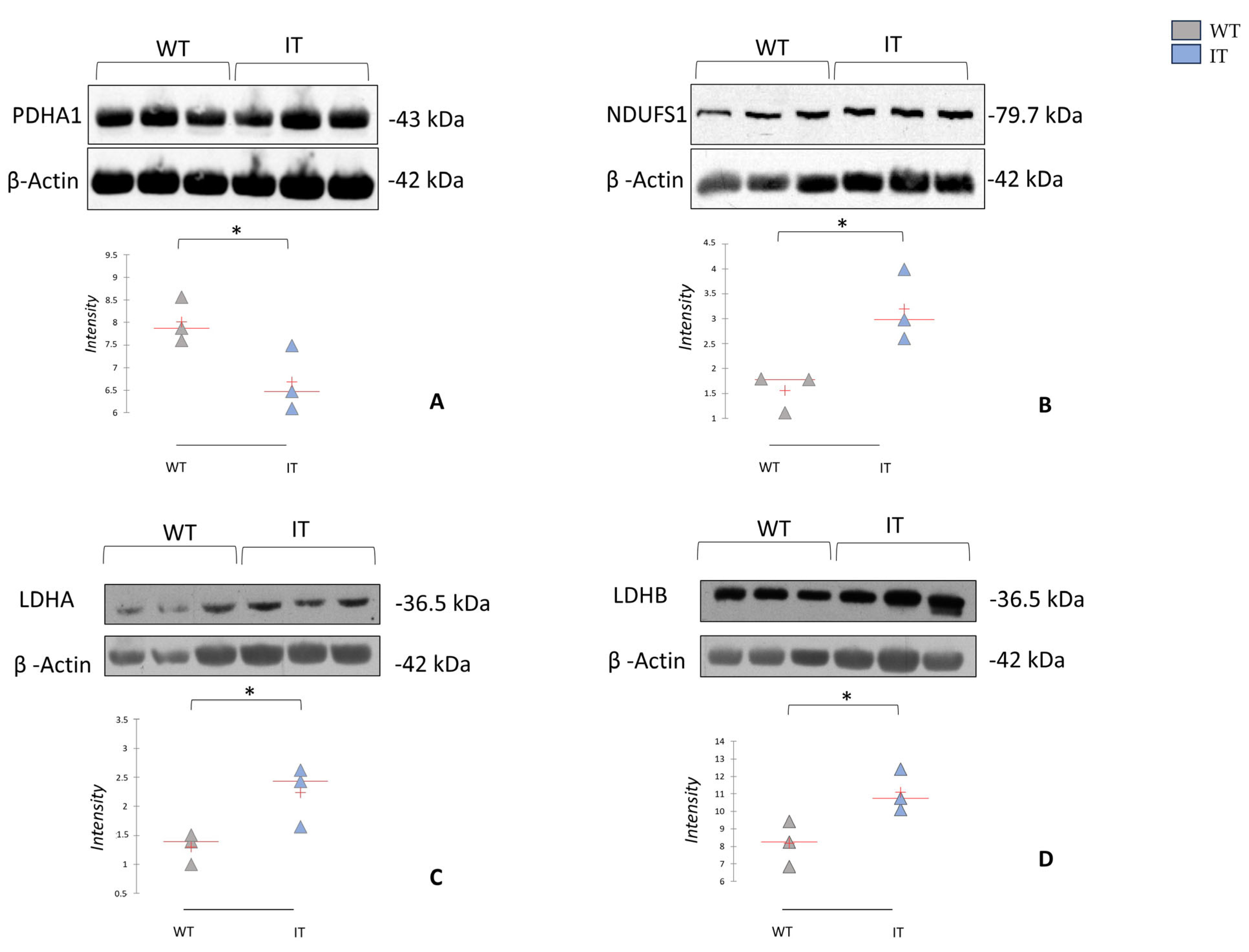 Ijms 26 11451 g006 Ijms 26 11451 g006