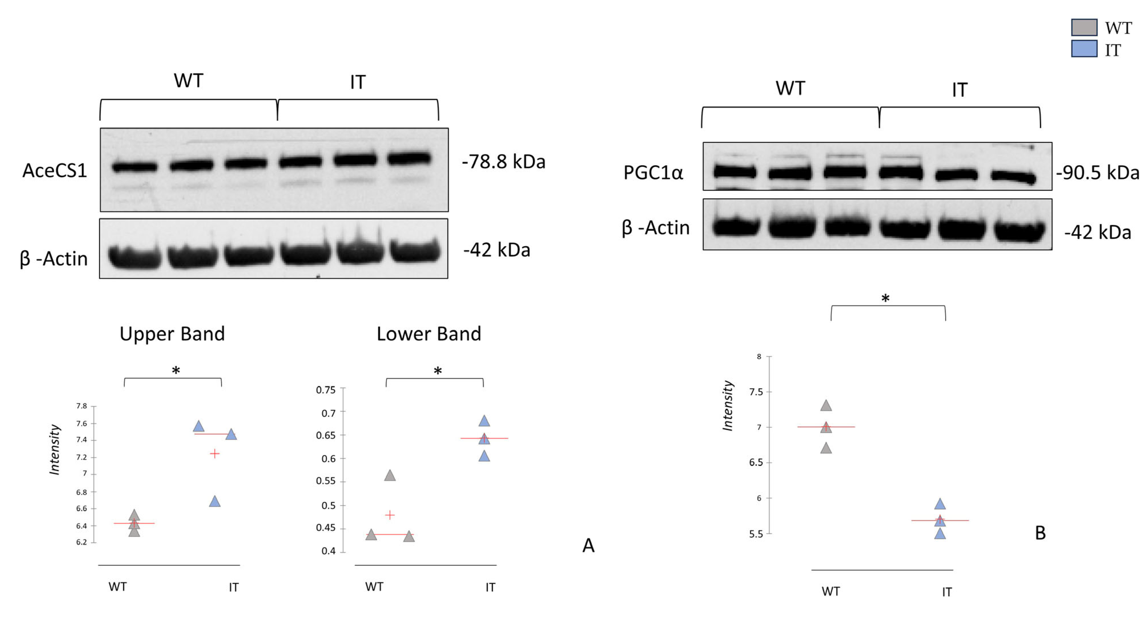 Ijms 26 11451 g007 Ijms 26 11451 g007