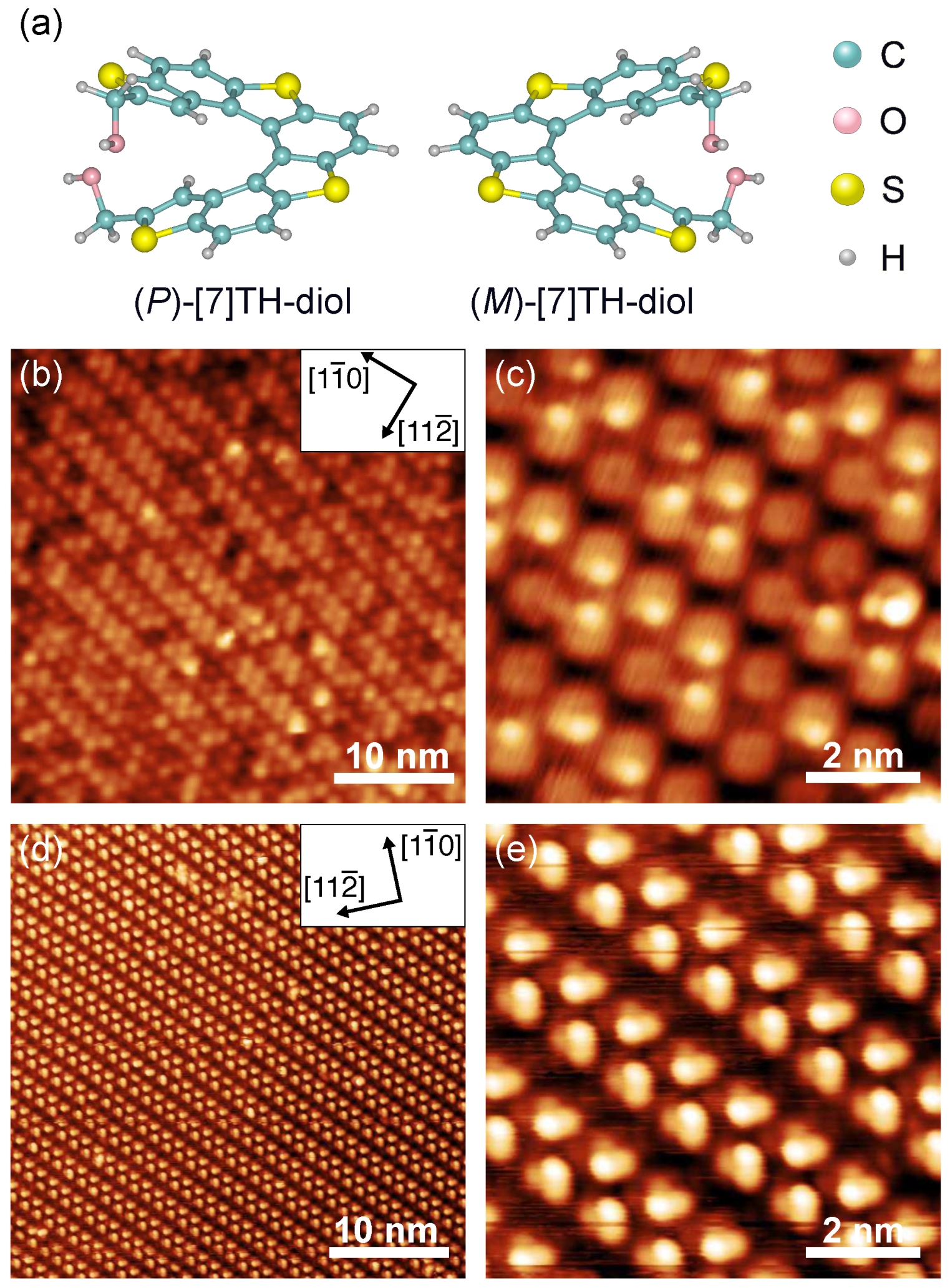 Ijms 26 11458 g001 Ijms 26 11458 g001