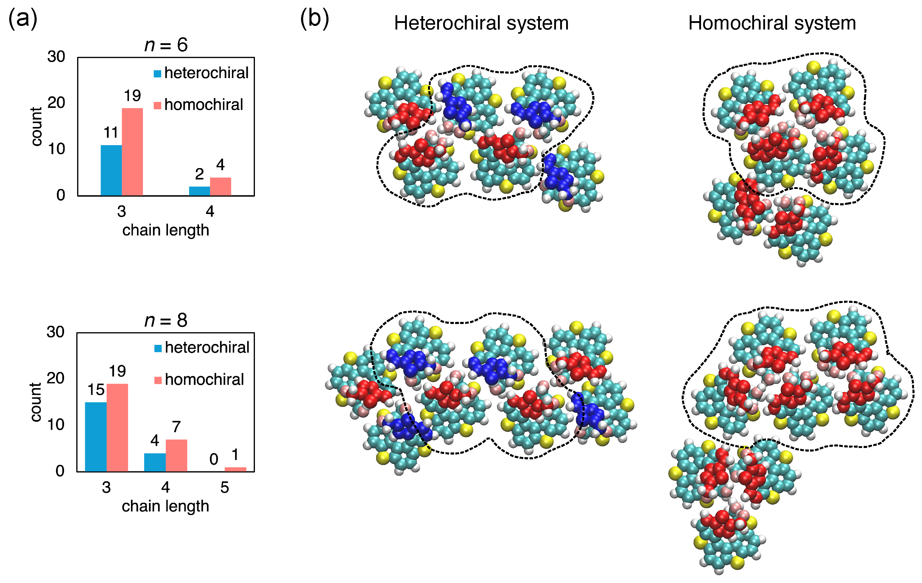 Ijms 26 11458 g003 Ijms 26 11458 g003