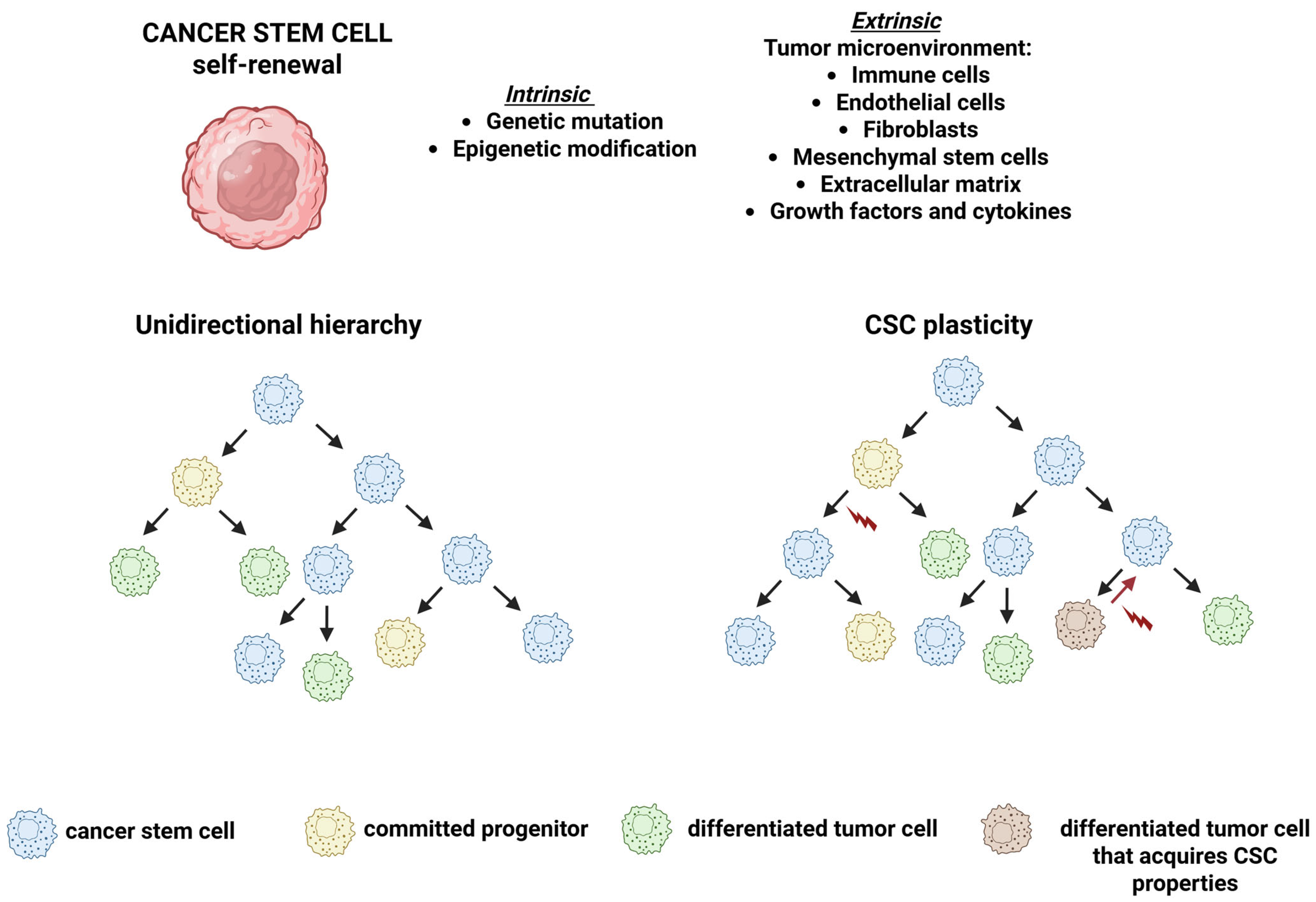 Ijms 26 11462 g001 Ijms 26 11462 g001