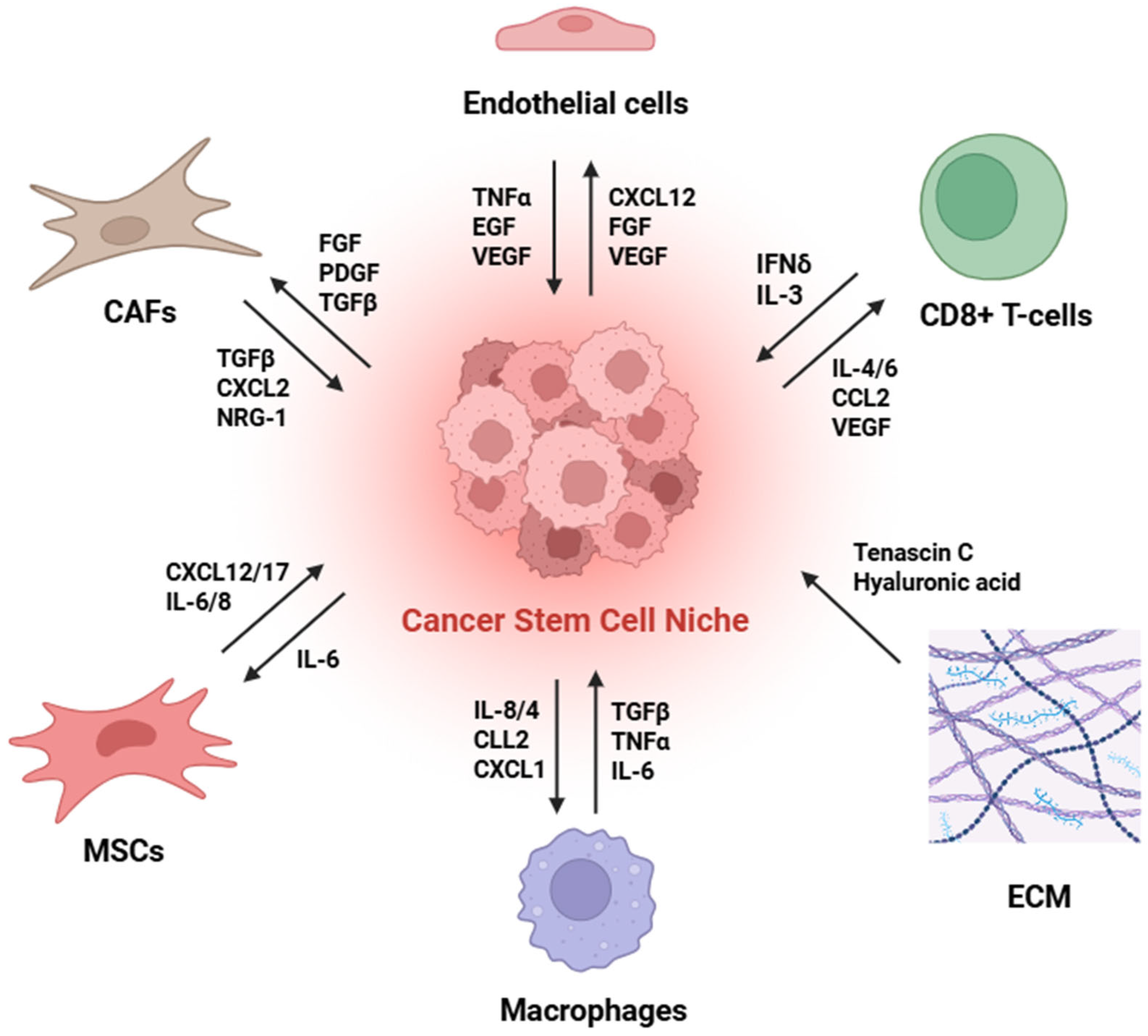 Ijms 26 11462 g002 Ijms 26 11462 g002