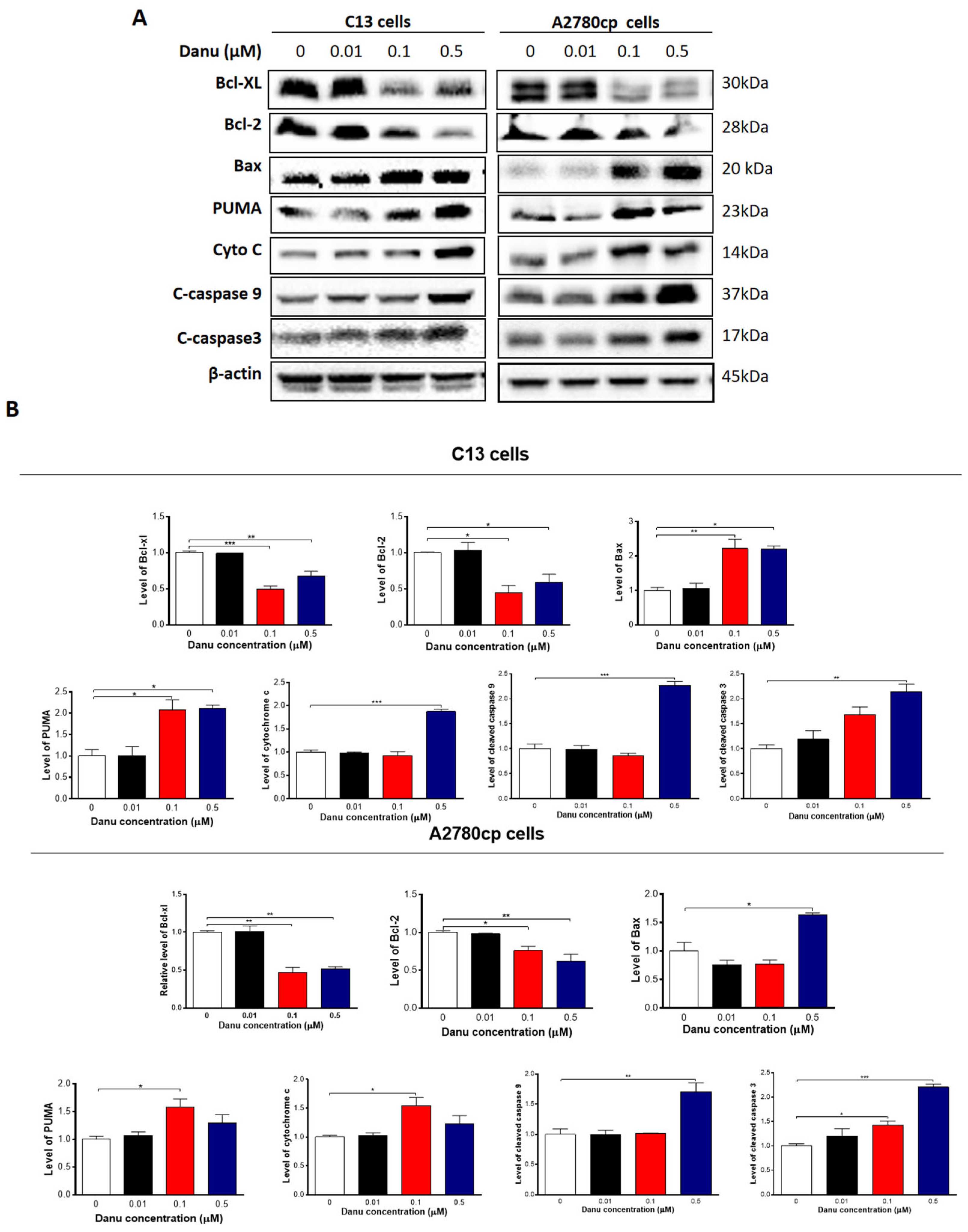 Ijms 26 11467 g007 Ijms 26 11467 g007