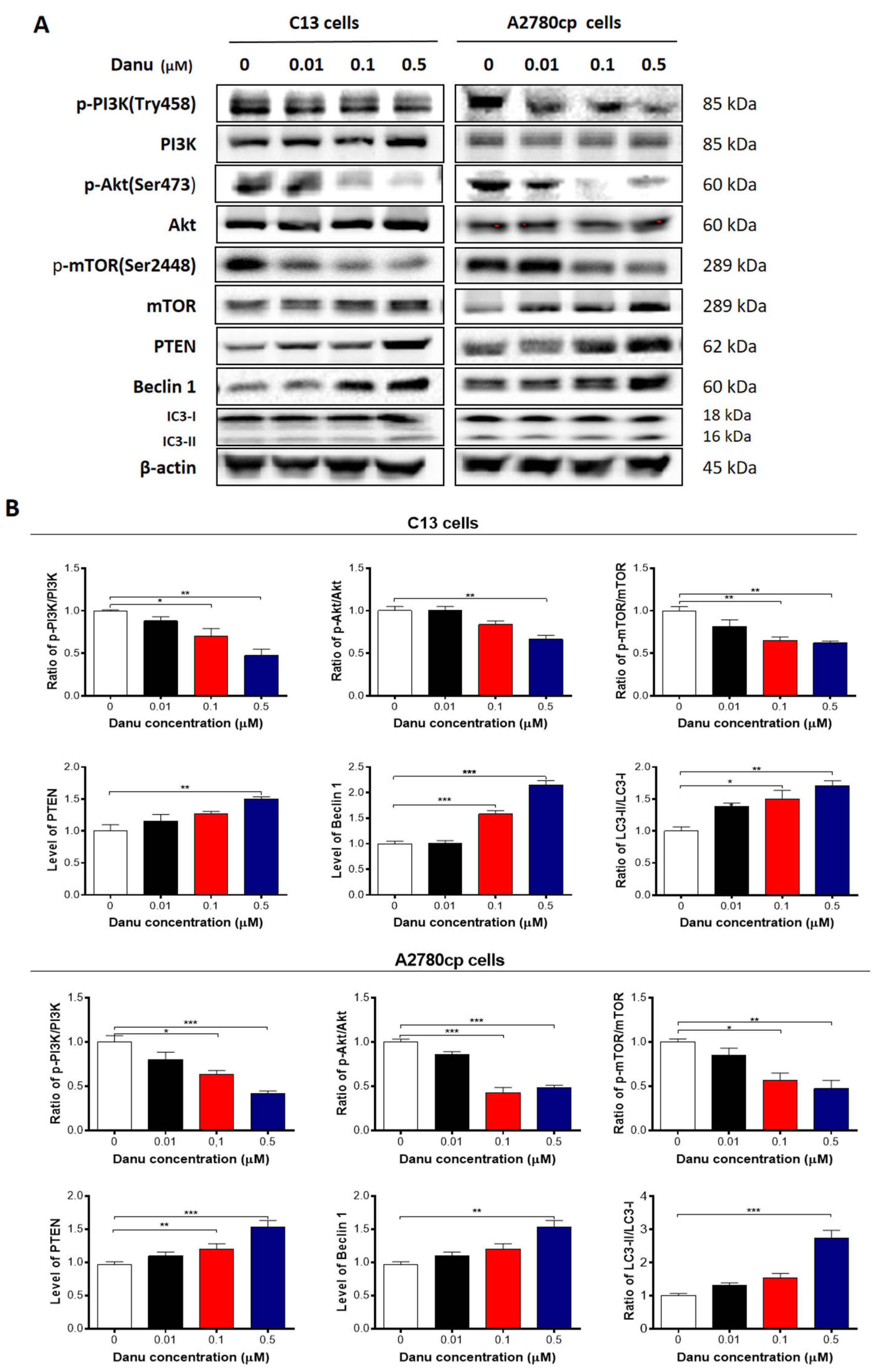 Ijms 26 11467 g011 Ijms 26 11467 g011