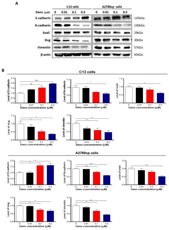 Correction: Zi et al. Danusertib Induces Apoptosis, Cell Cycle