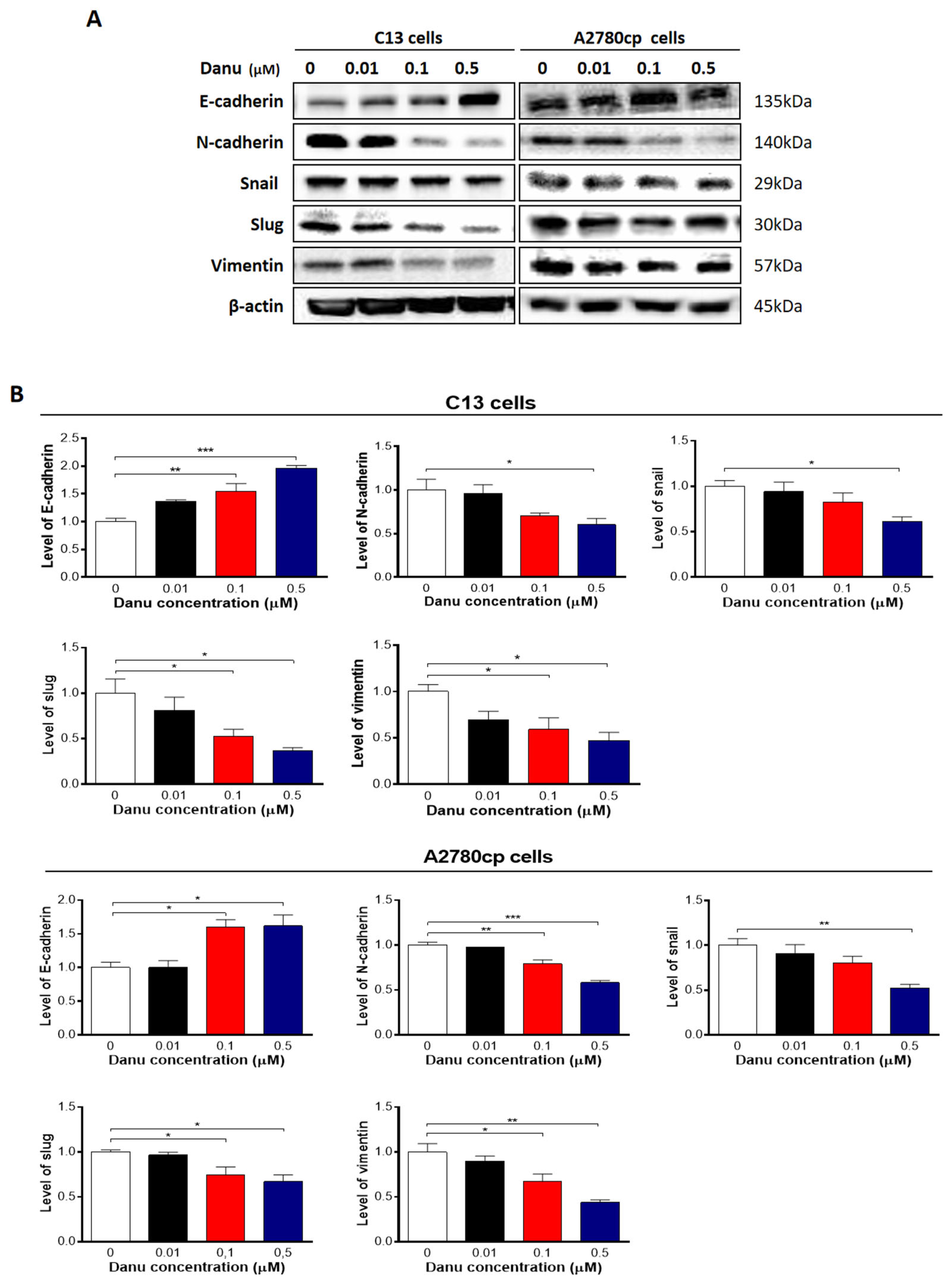Ijms 26 11467 g013 Ijms 26 11467 g013
