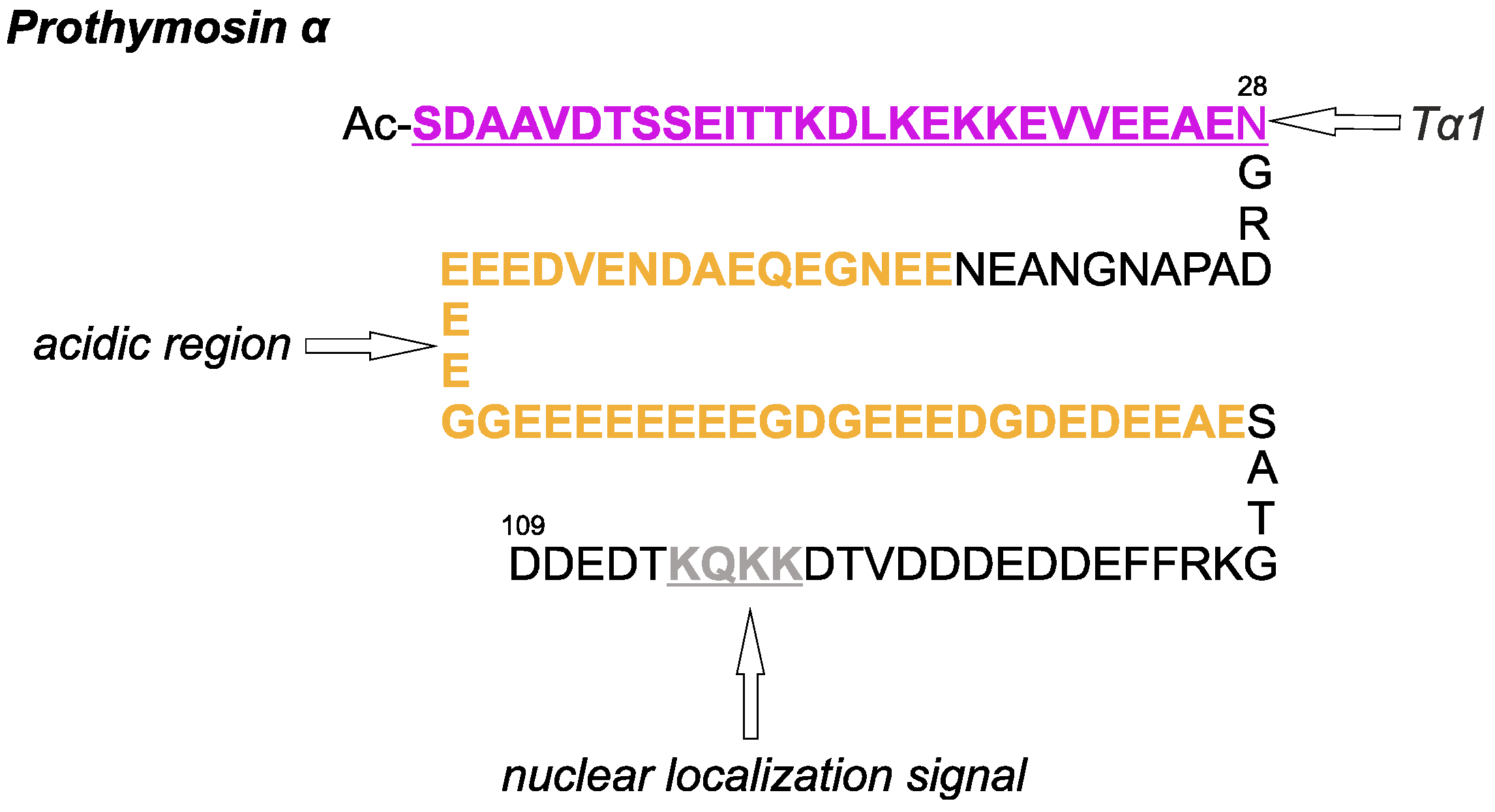 Ijms 26 11470 g002 Ijms 26 11470 g002