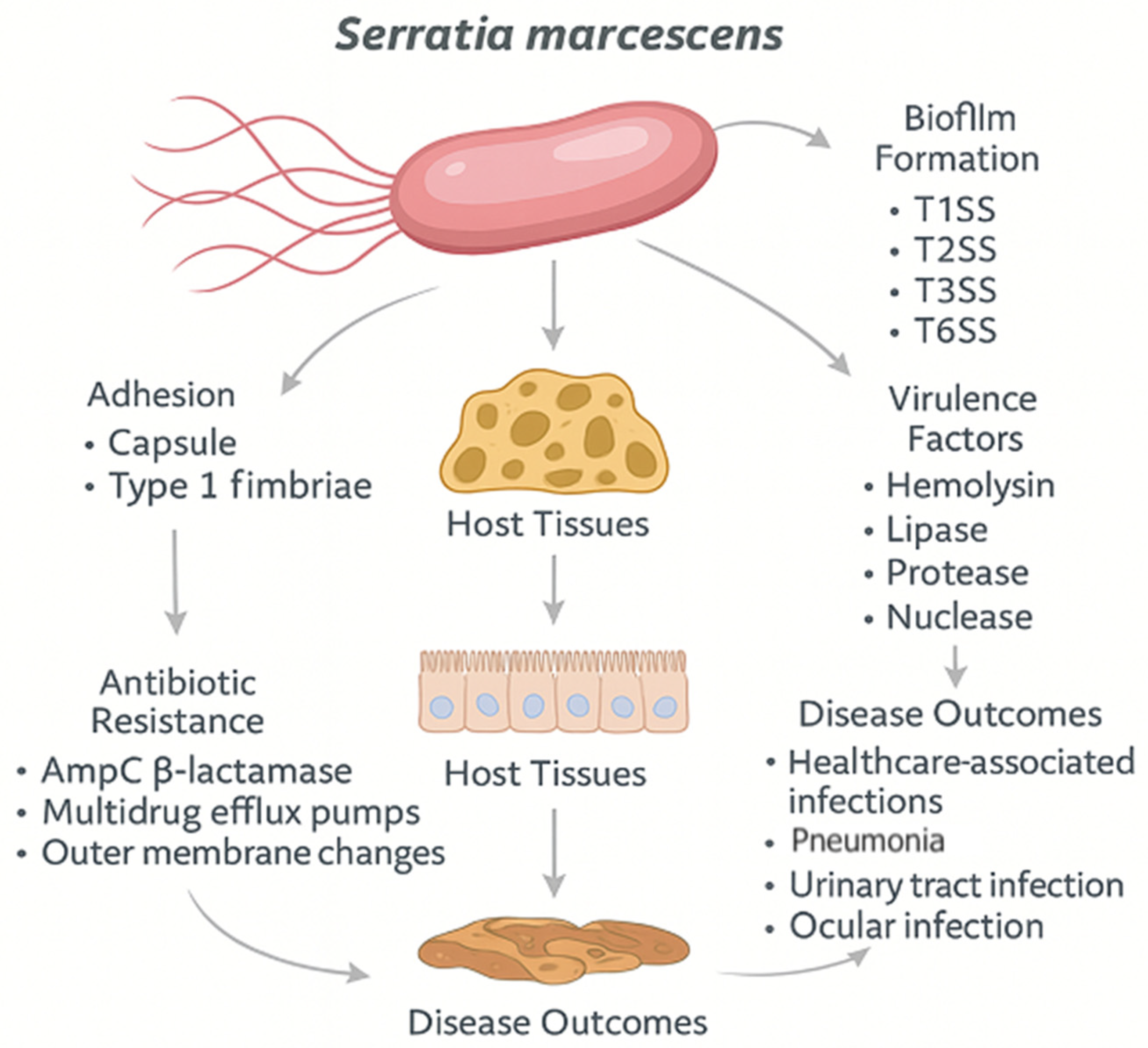 Ijms 26 11479 g001 Ijms 26 11479 g001