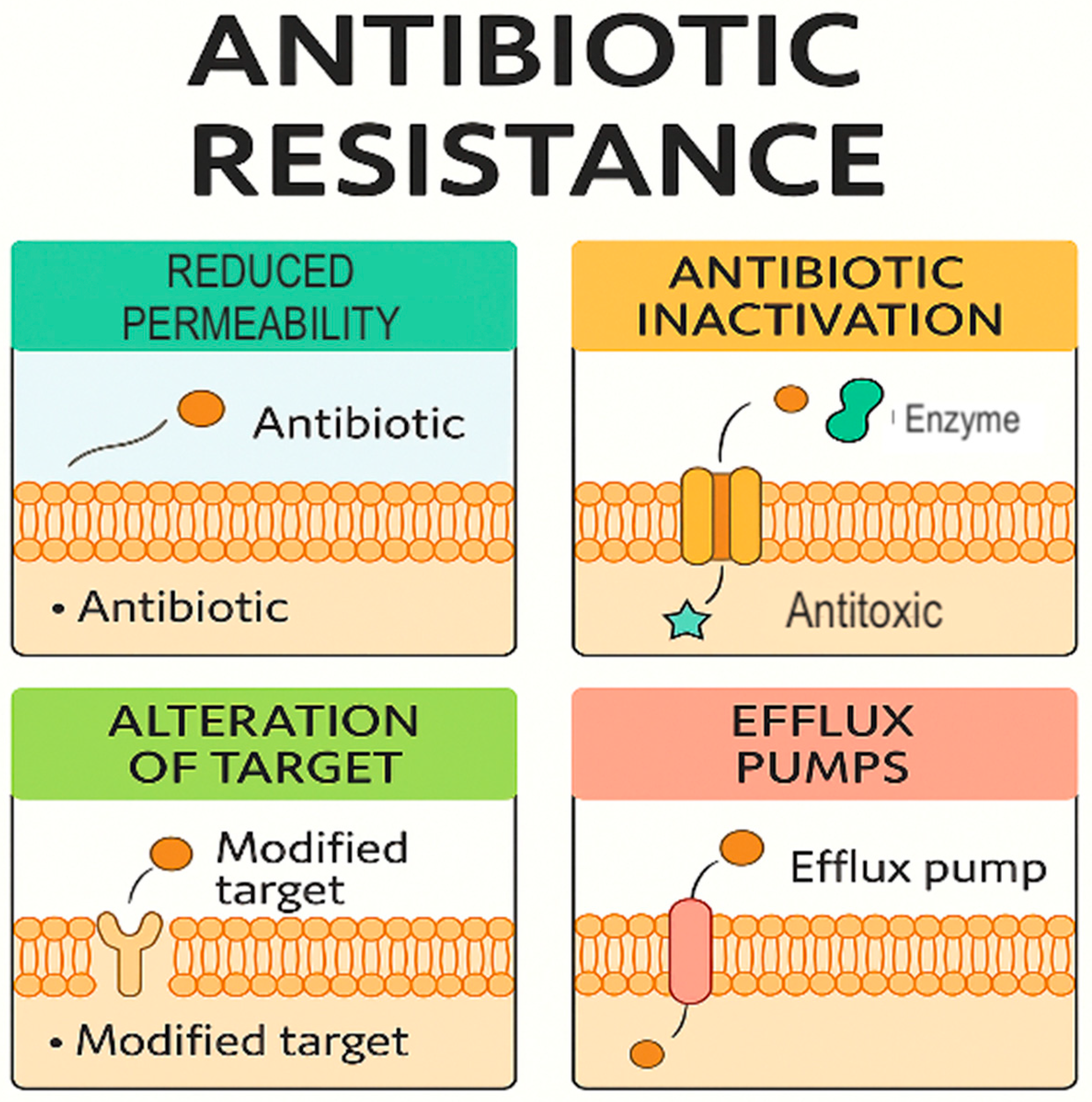 Ijms 26 11479 g003 Ijms 26 11479 g003