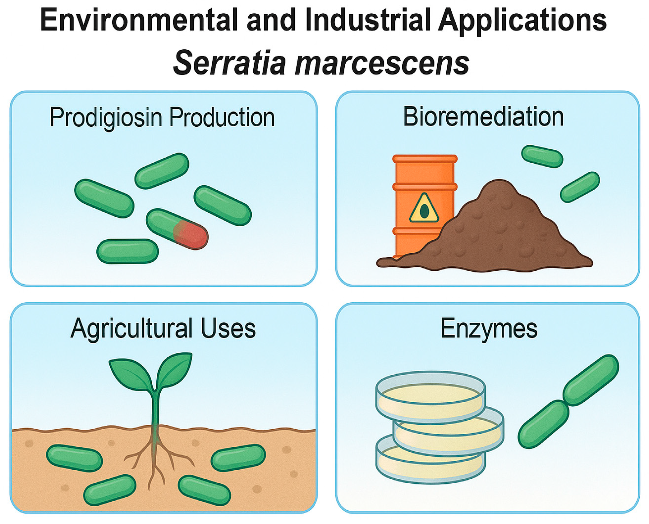 Ijms 26 11479 g004 Ijms 26 11479 g004