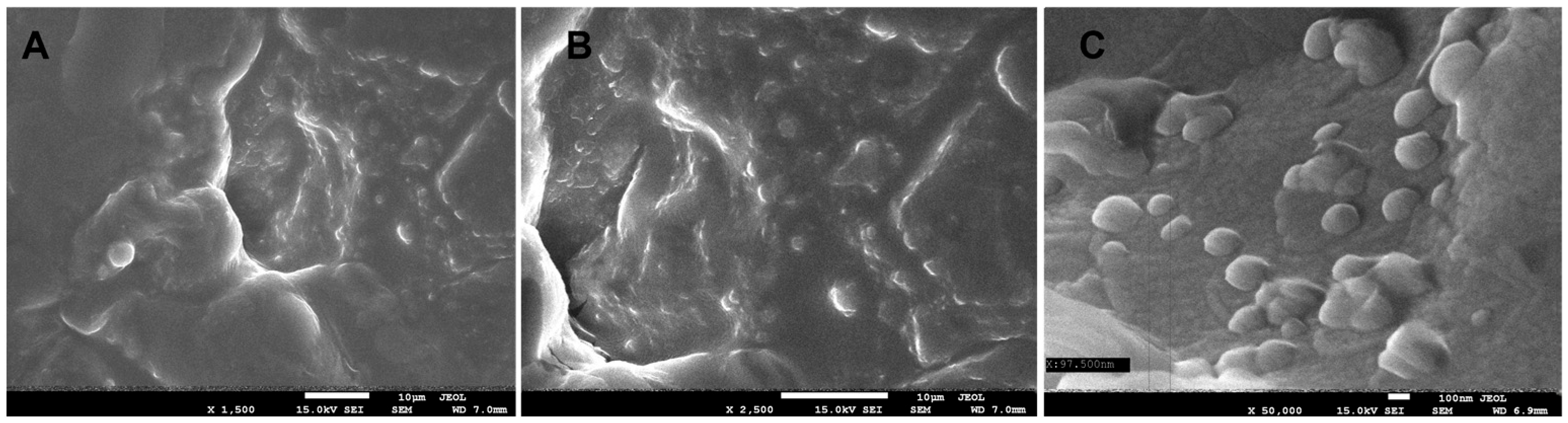 Ijms 26 11480 g002 Ijms 26 11480 g002