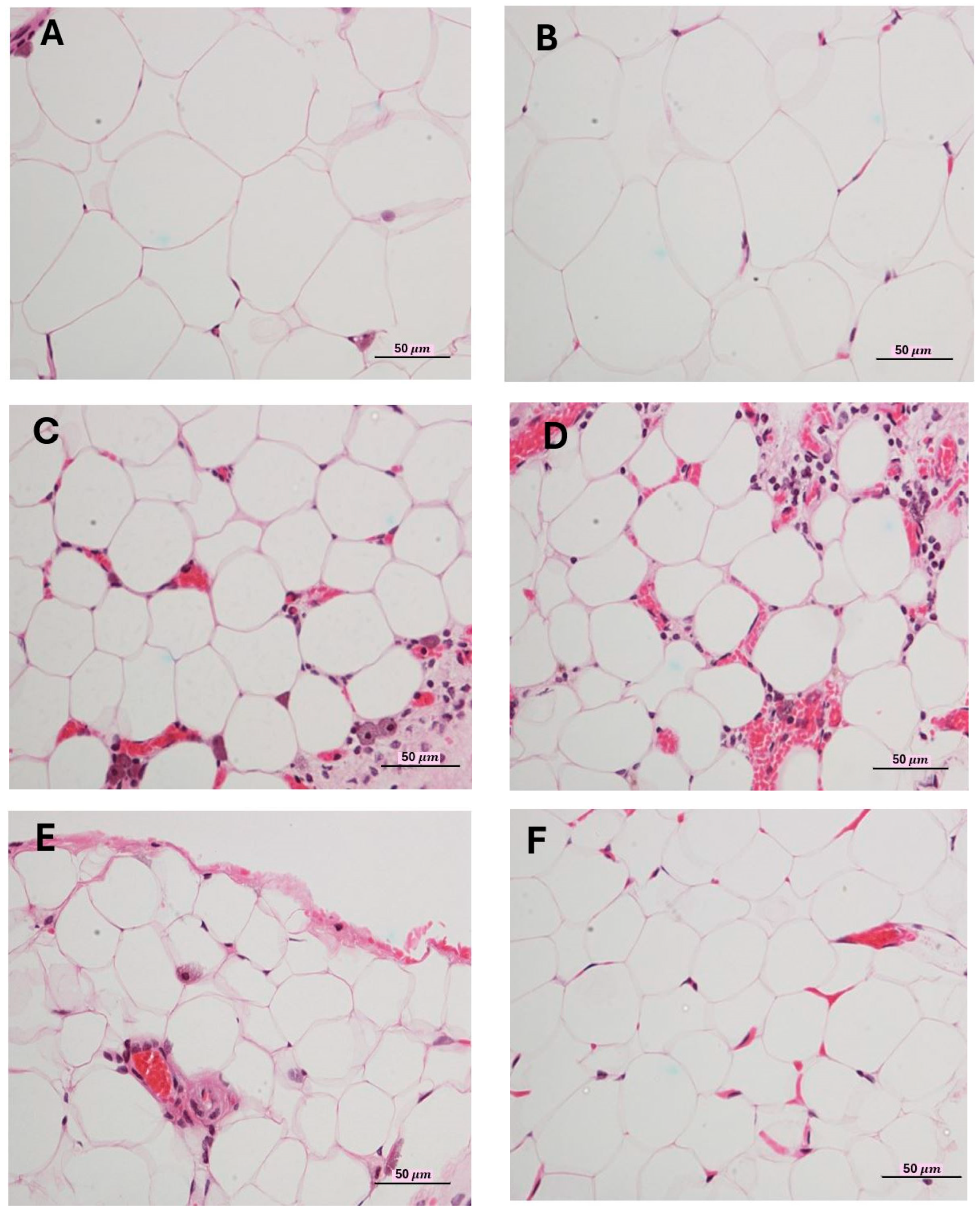 Ijms 26 11505 g003 Ijms 26 11505 g003