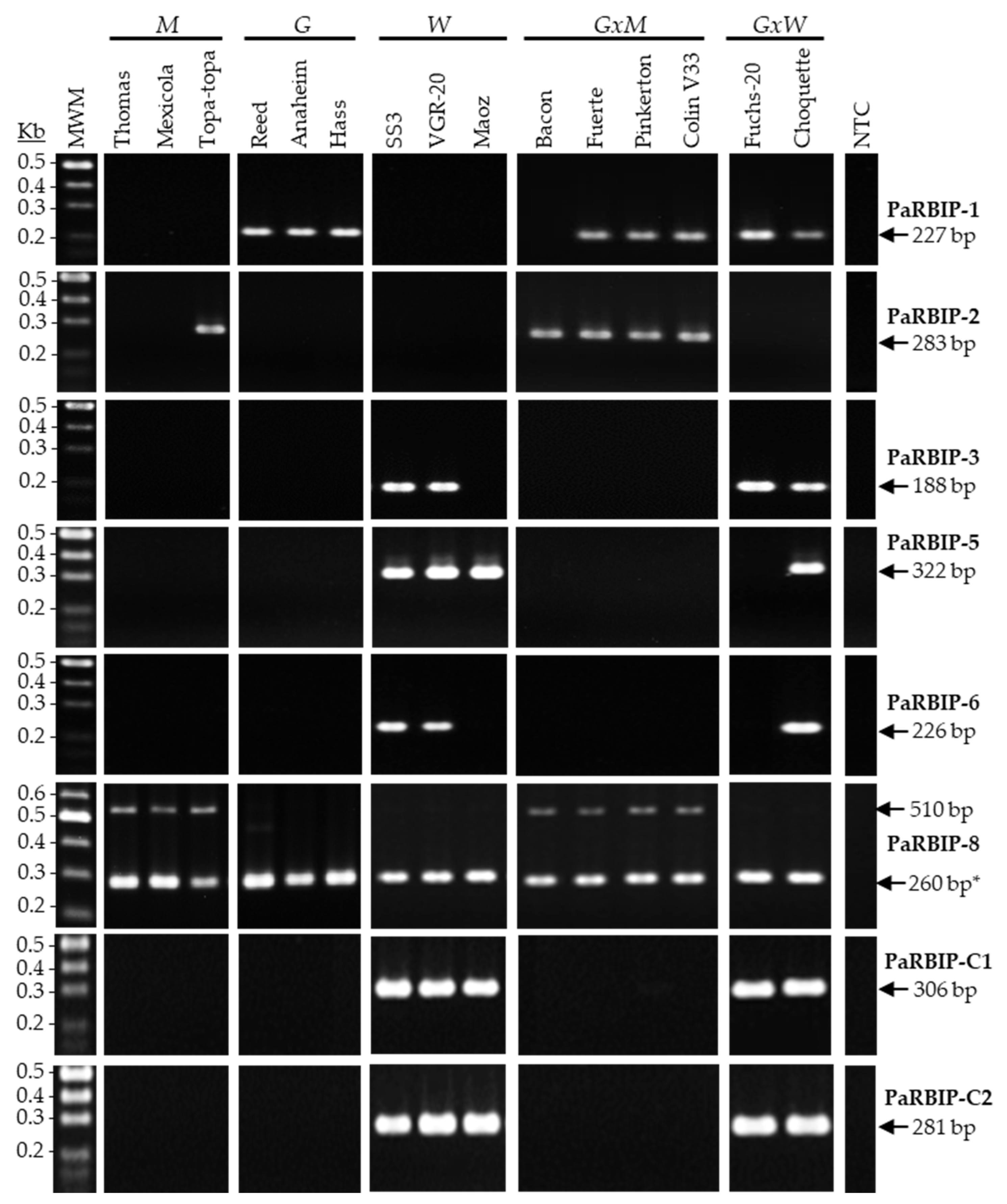 Ijms 26 11510 g001 Ijms 26 11510 g001