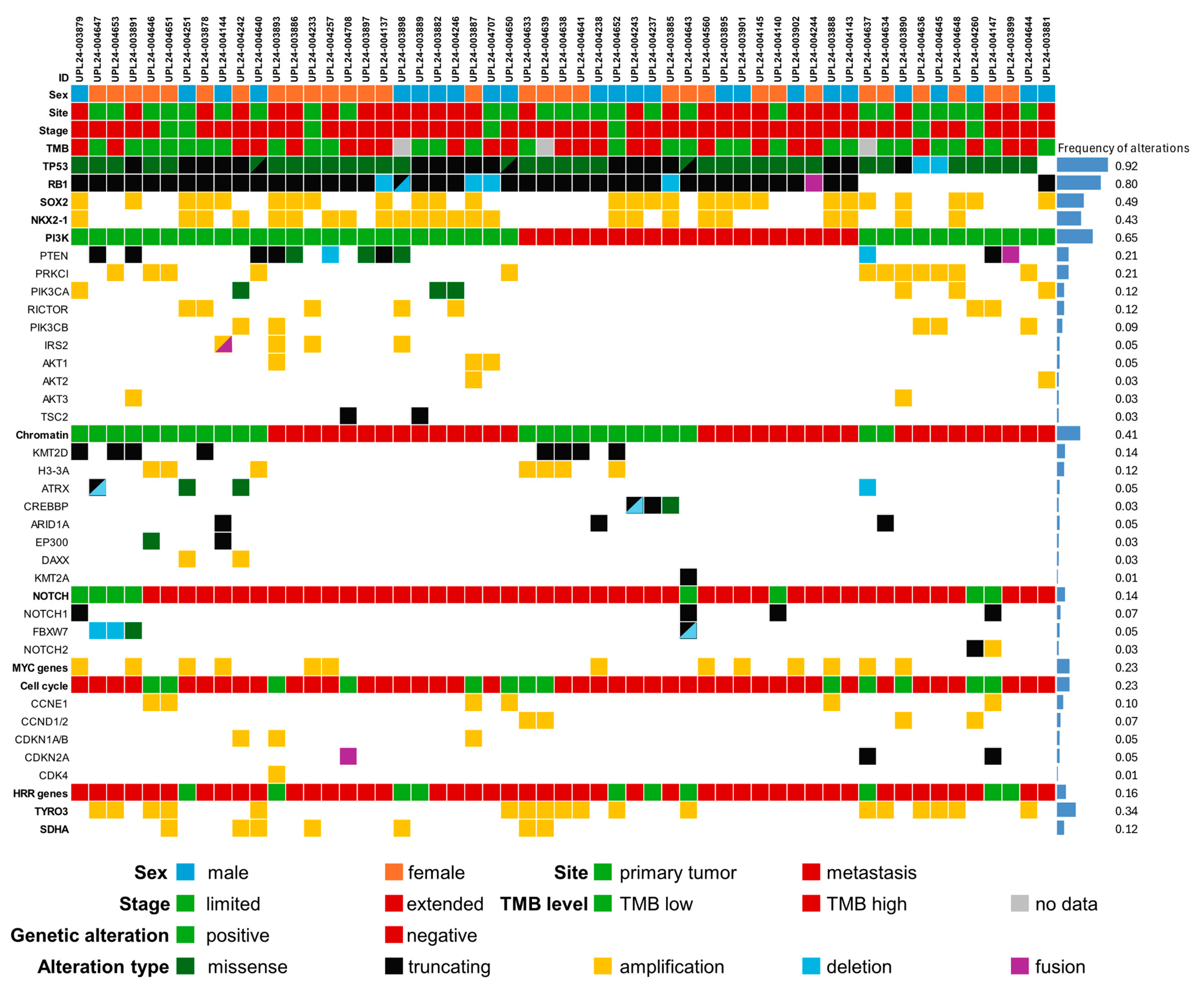 Ijms 26 11512 g001 Ijms 26 11512 g001