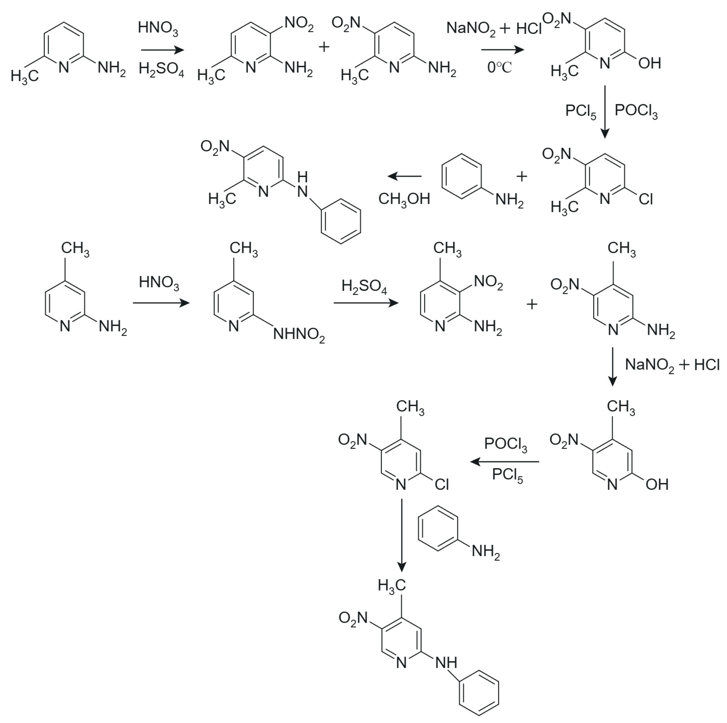 Ijms 26 11522 sch001 Ijms 26 11522 sch001