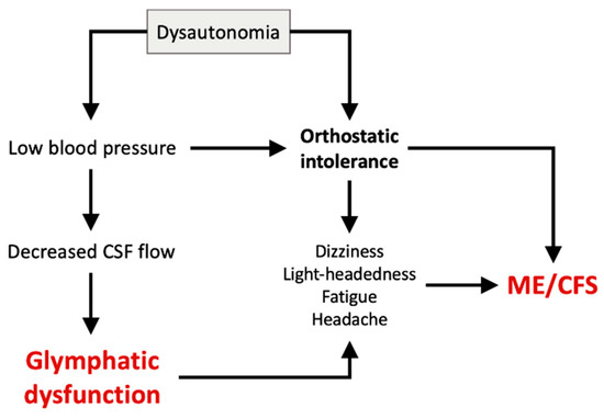 glutathione chronic fatigue syndrome Deficient Glutathione in the Pathophysiology of Mycotoxin-Related Illness main image 0