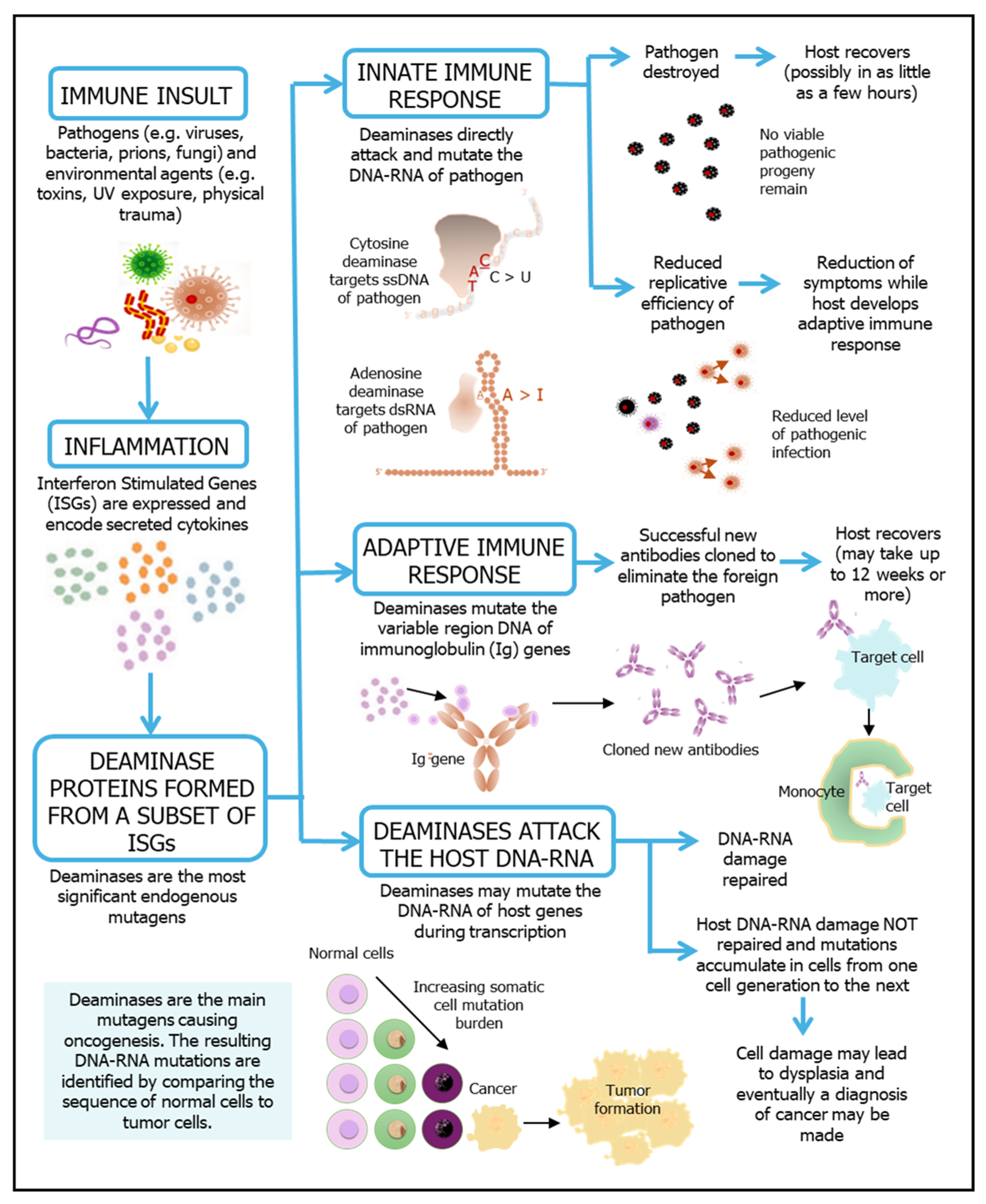 Ijms 26 11532 g001 Ijms 26 11532 g001