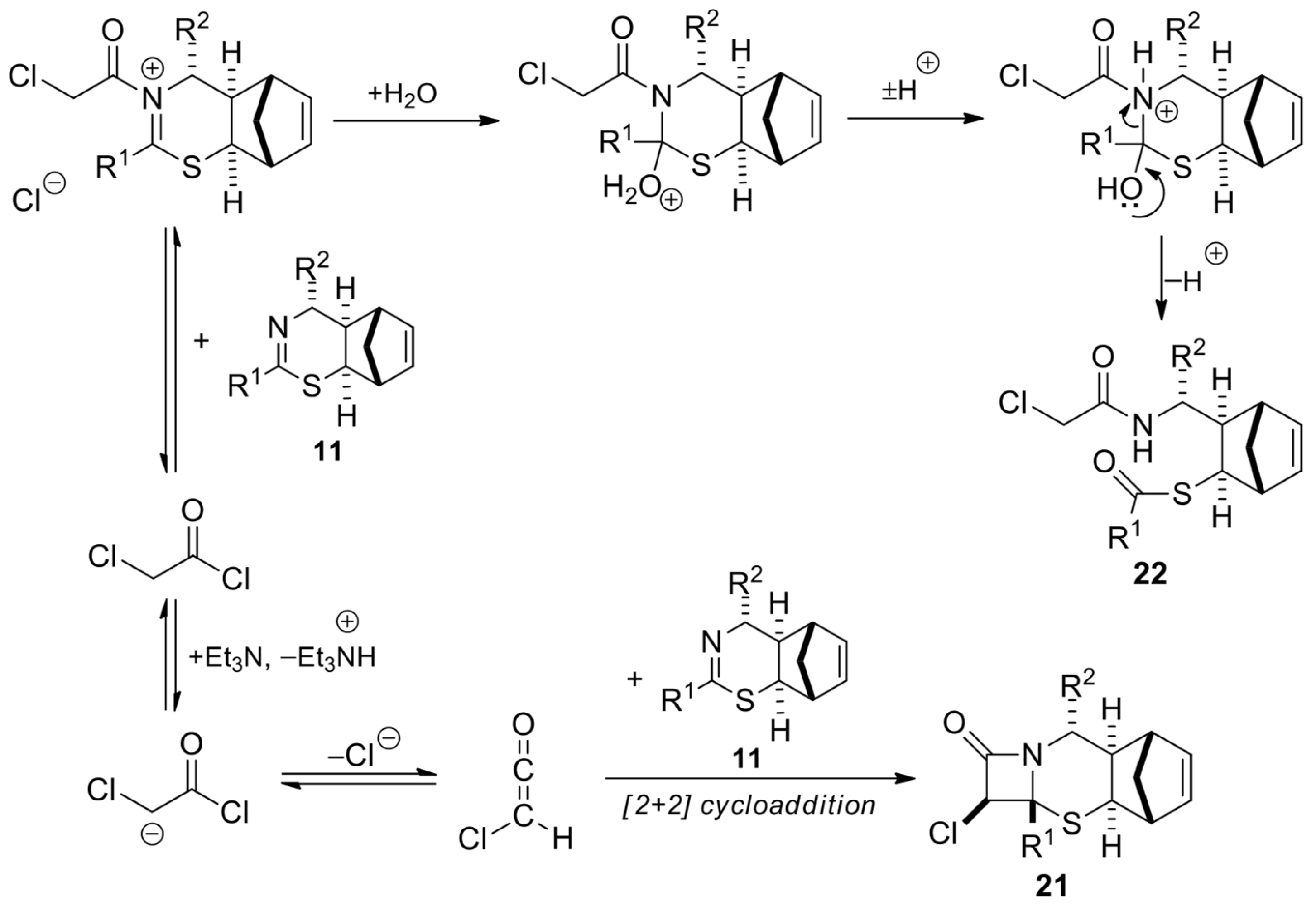 Ijms 26 11543 sch012