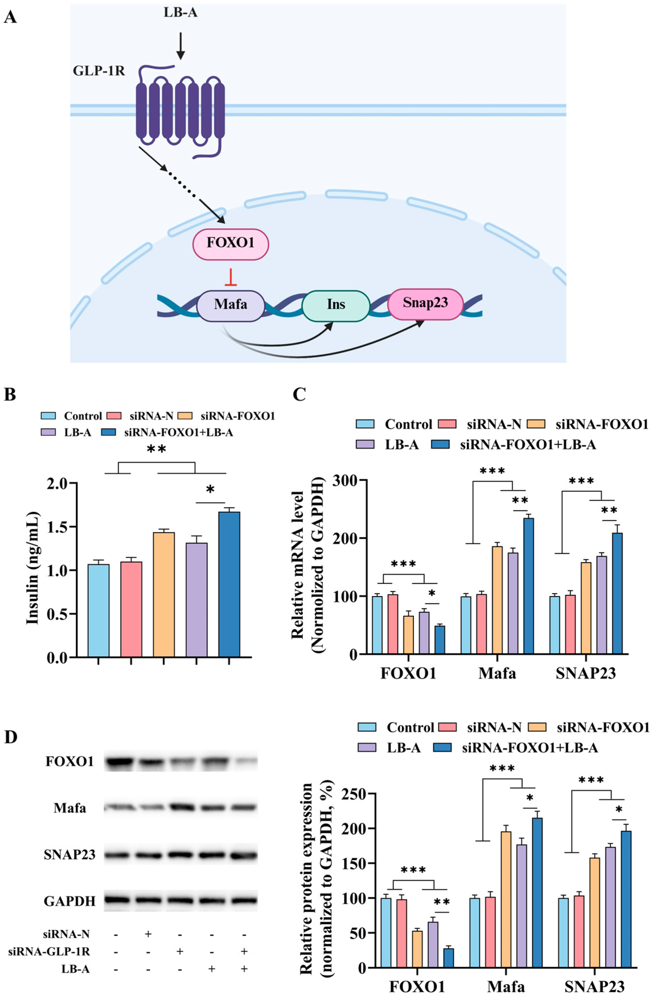 Ijms 26 11548 g006 Ijms 26 11548 g006