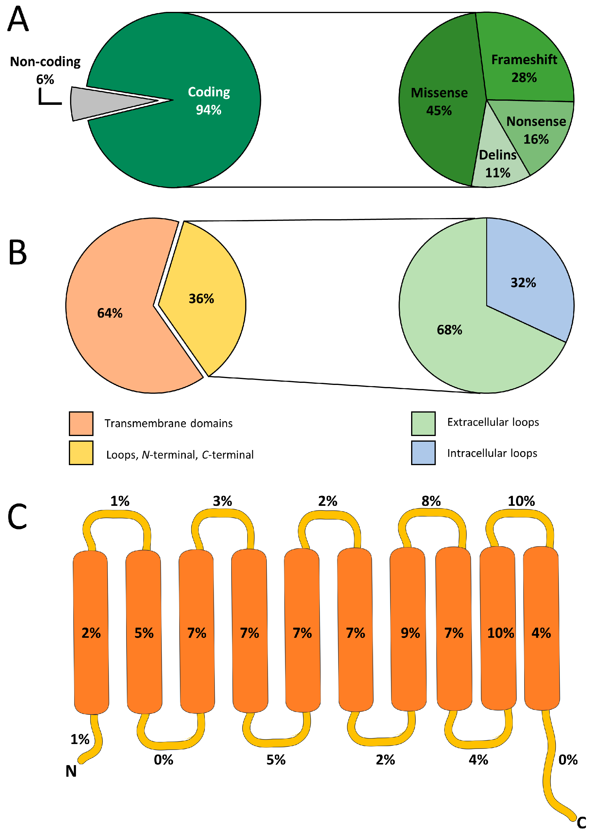 Ijms 26 11560 g002 Ijms 26 11560 g002