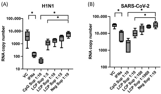 Stimulation of Peripheral Blood Mononuclear Cells with Lactococcus