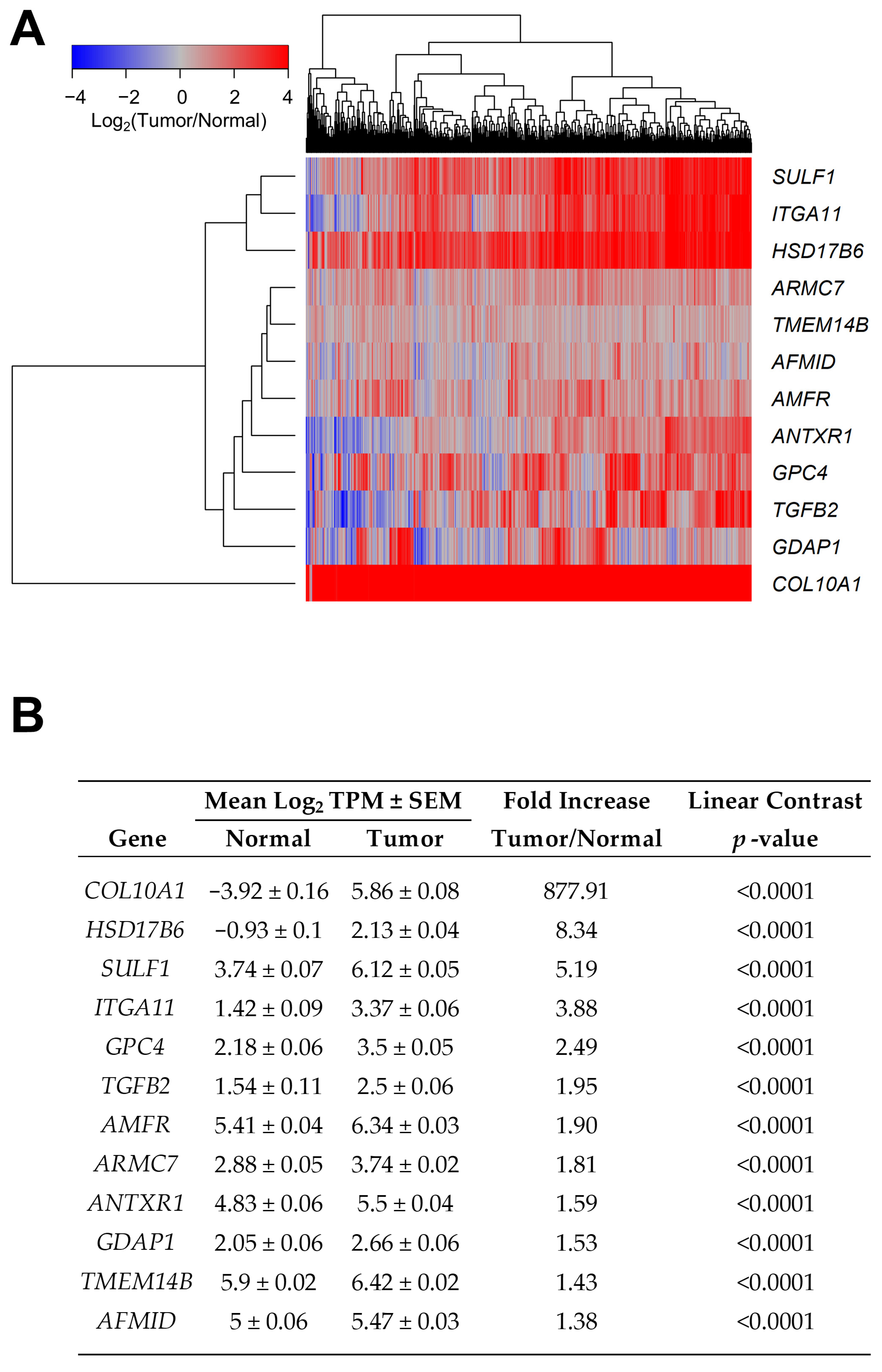 Ijms 26 11580 g001 Ijms 26 11580 g001