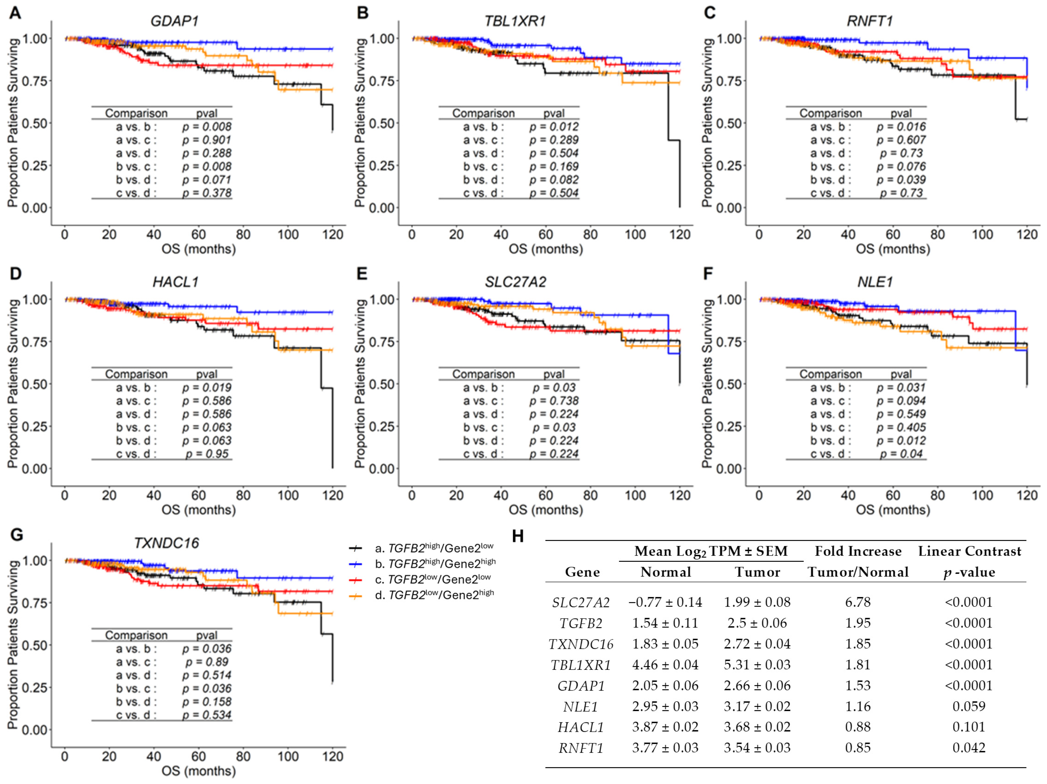 Ijms 26 11580 g002 Ijms 26 11580 g002