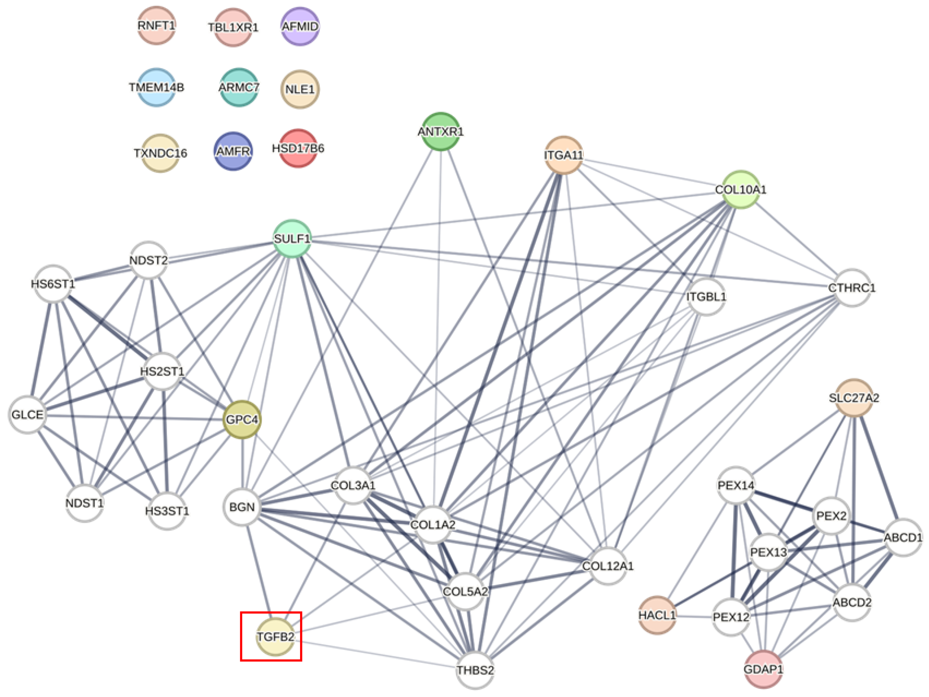 Ijms 26 11580 g003 Ijms 26 11580 g003