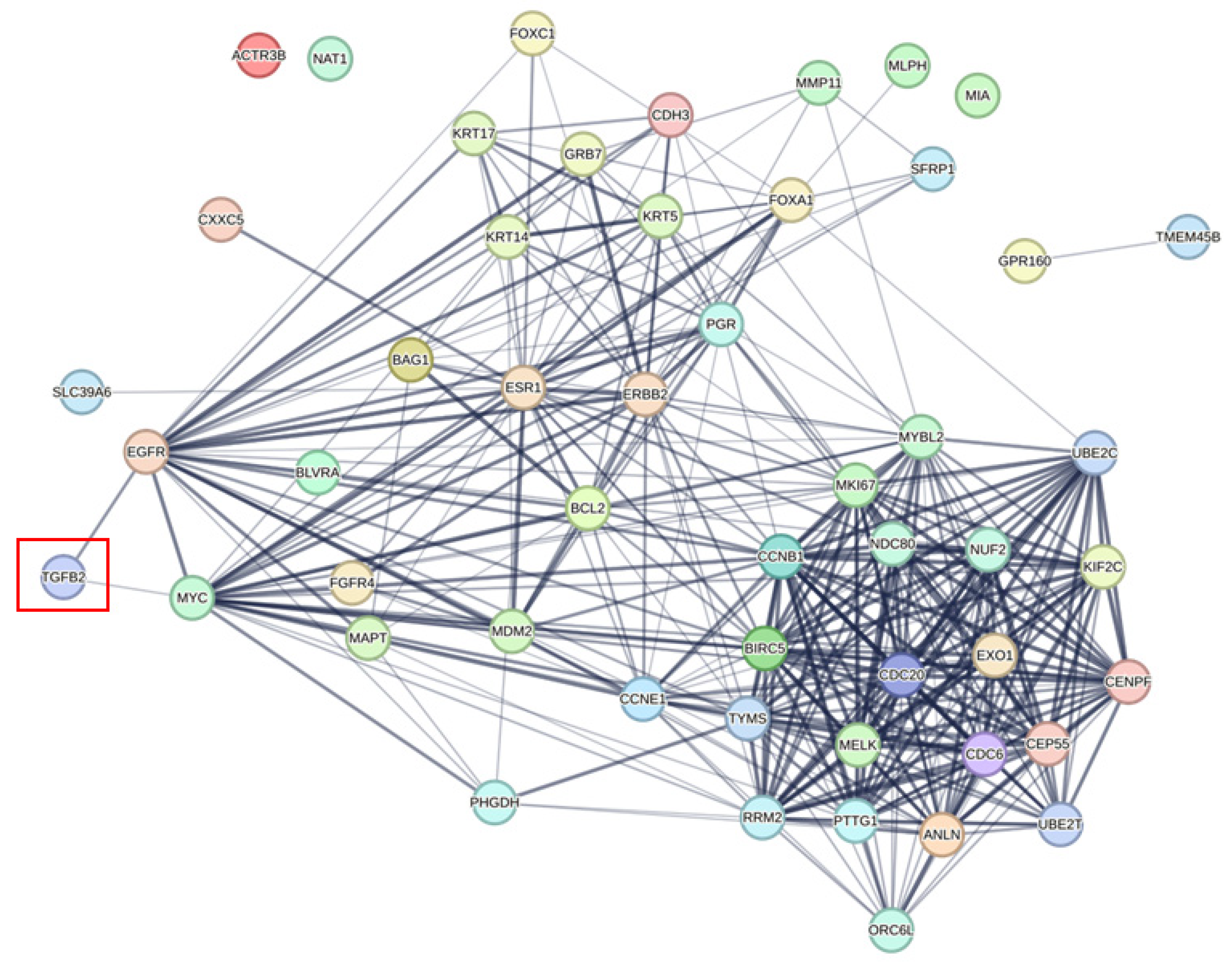 Ijms 26 11580 g004 Ijms 26 11580 g004