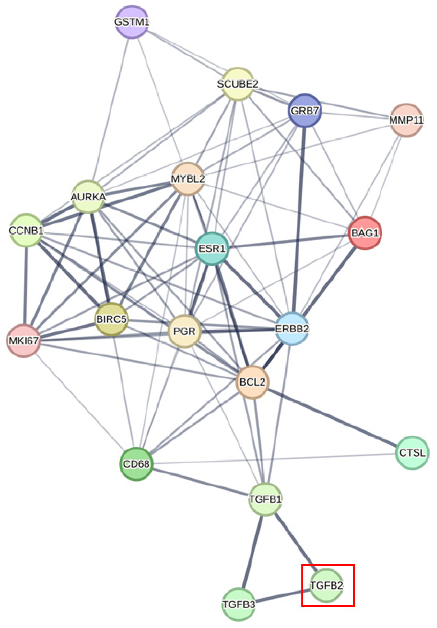 Ijms 26 11580 g005 Ijms 26 11580 g005