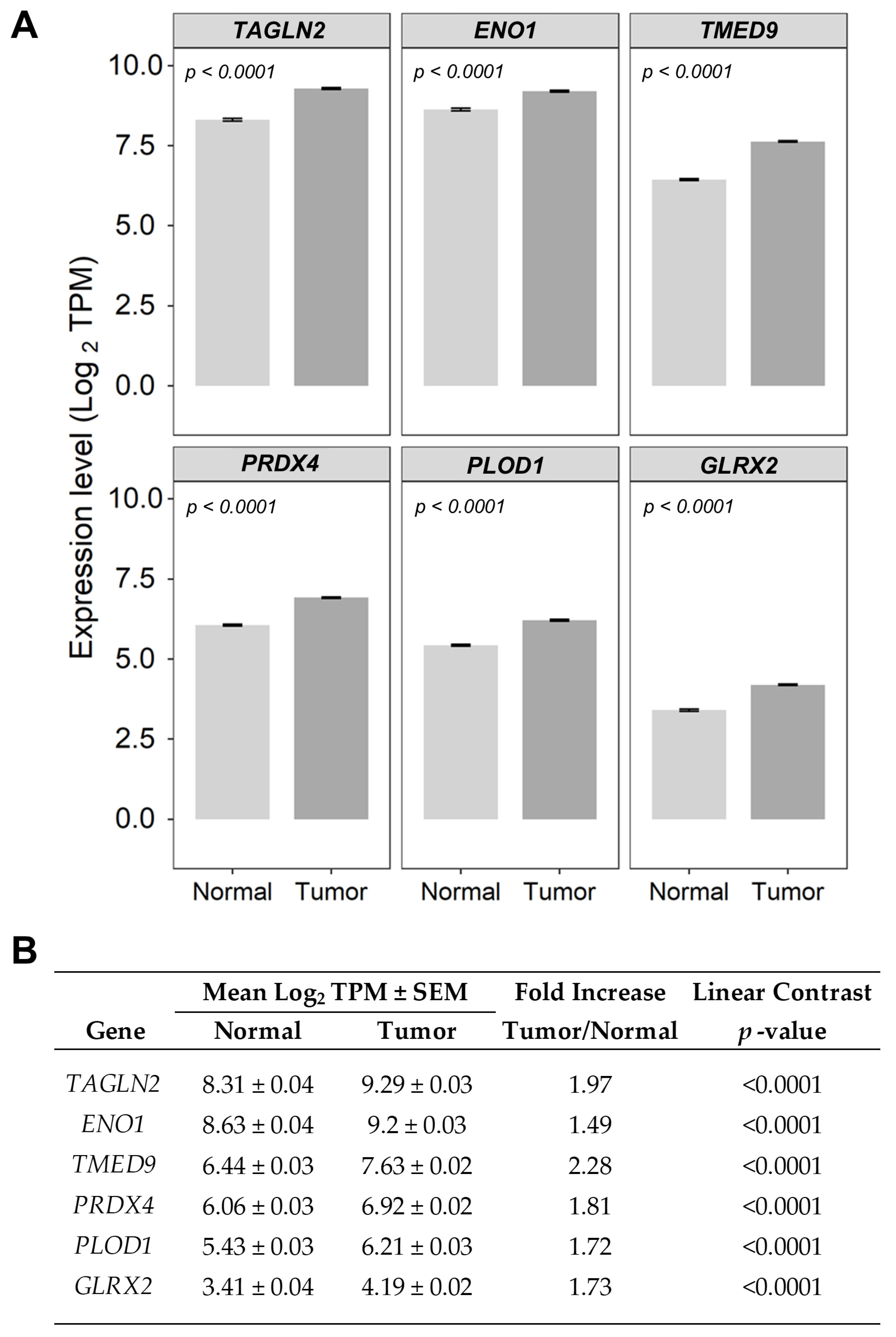 Ijms 26 11580 g006 Ijms 26 11580 g006