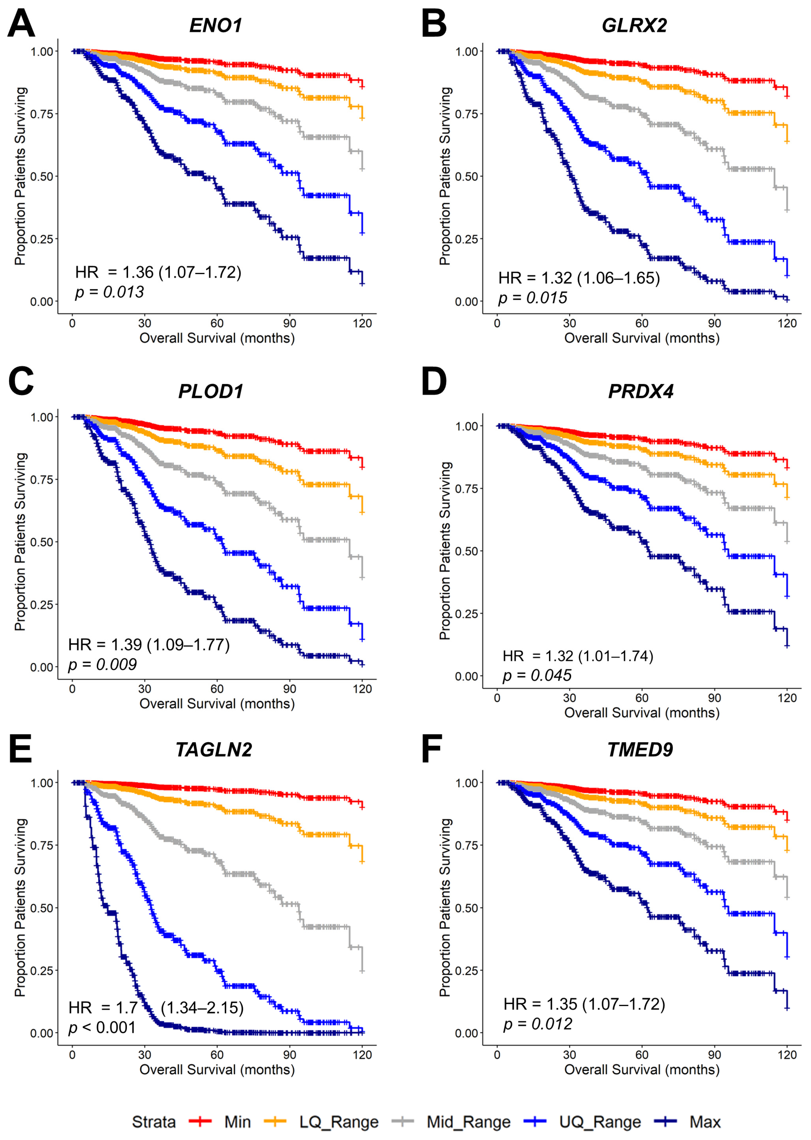 Ijms 26 11580 g007 Ijms 26 11580 g007