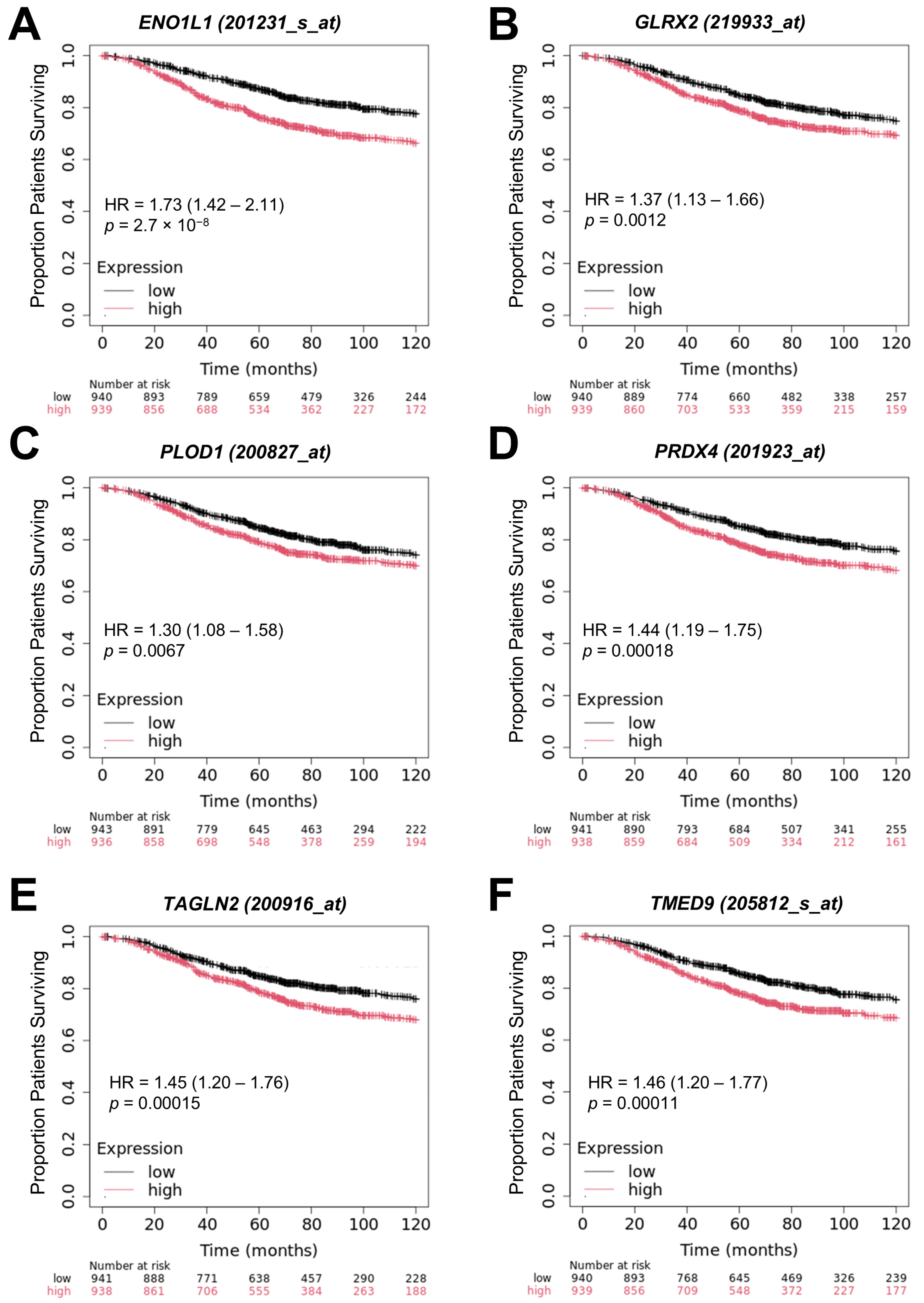 Ijms 26 11580 g008 Ijms 26 11580 g008