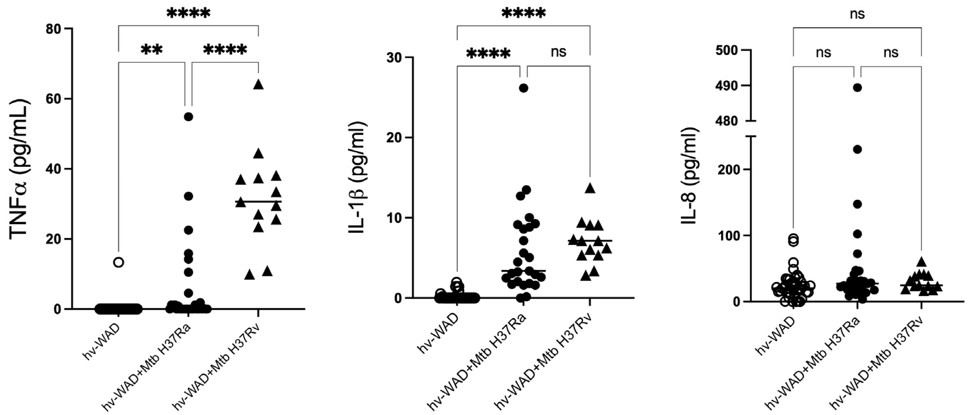 Ijms 26 11595 g004 Ijms 26 11595 g004