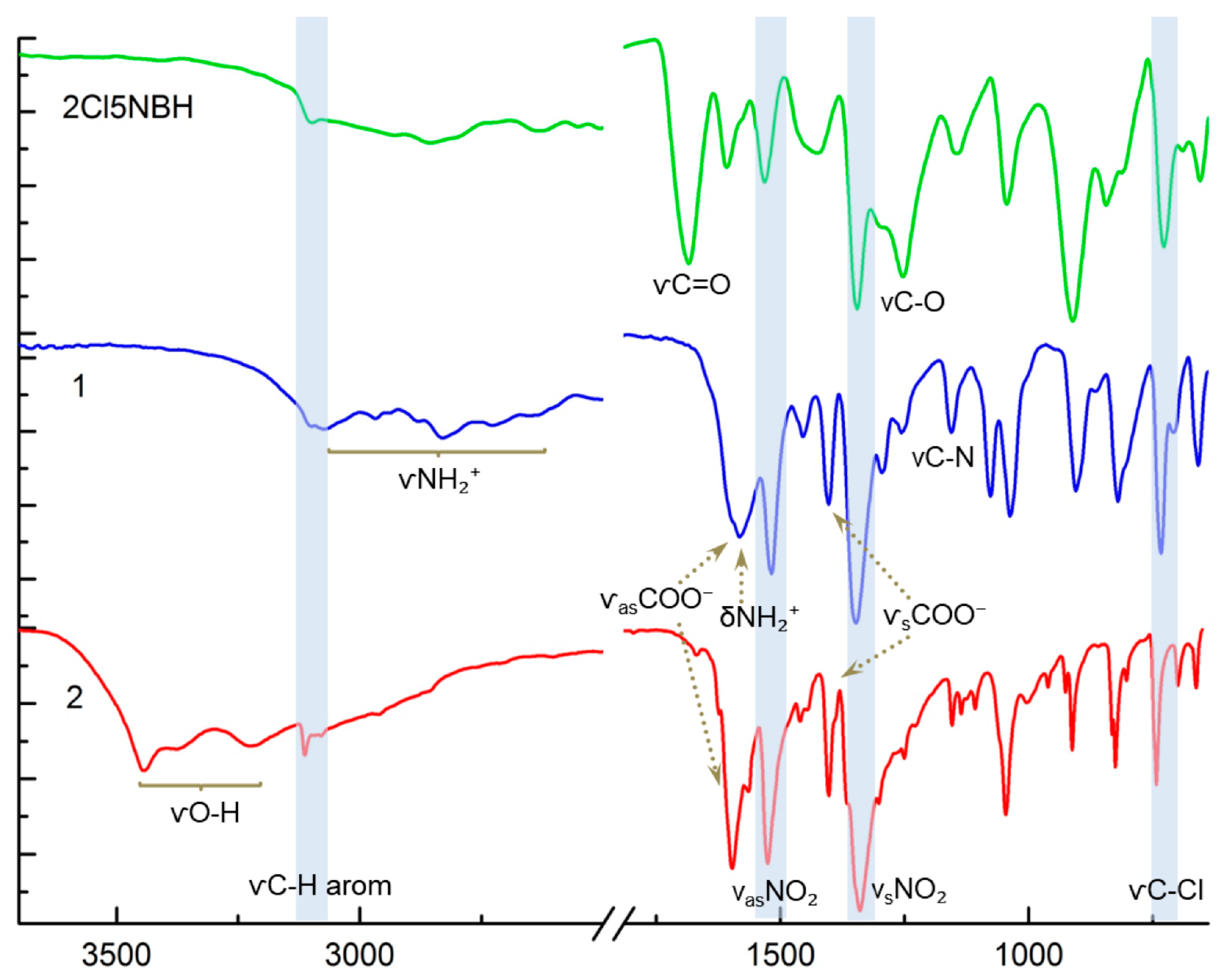 Ijms 26 11607 g003 Ijms 26 11607 g003