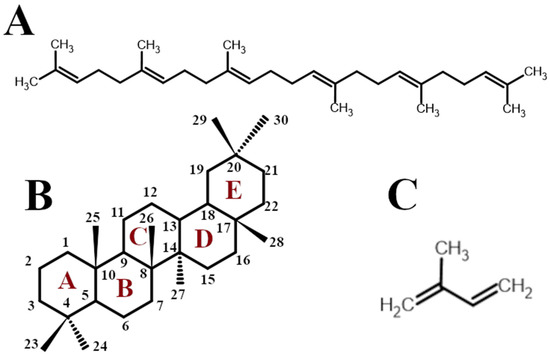 Current Research on the Control Mechanisms of Cell Survival and