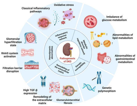 百 Rimoody Carplay 1 Din Wireless Car Stereo with Android Auto